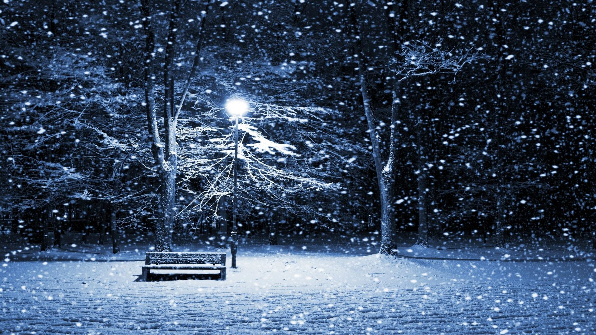 a winter night. - Imgur