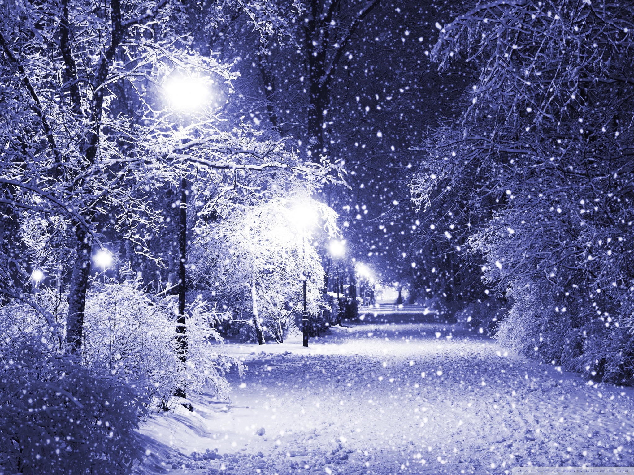 Winter Night ❤ 4K HD Desktop Wallpaper for • Dual Monitor Desktops ...