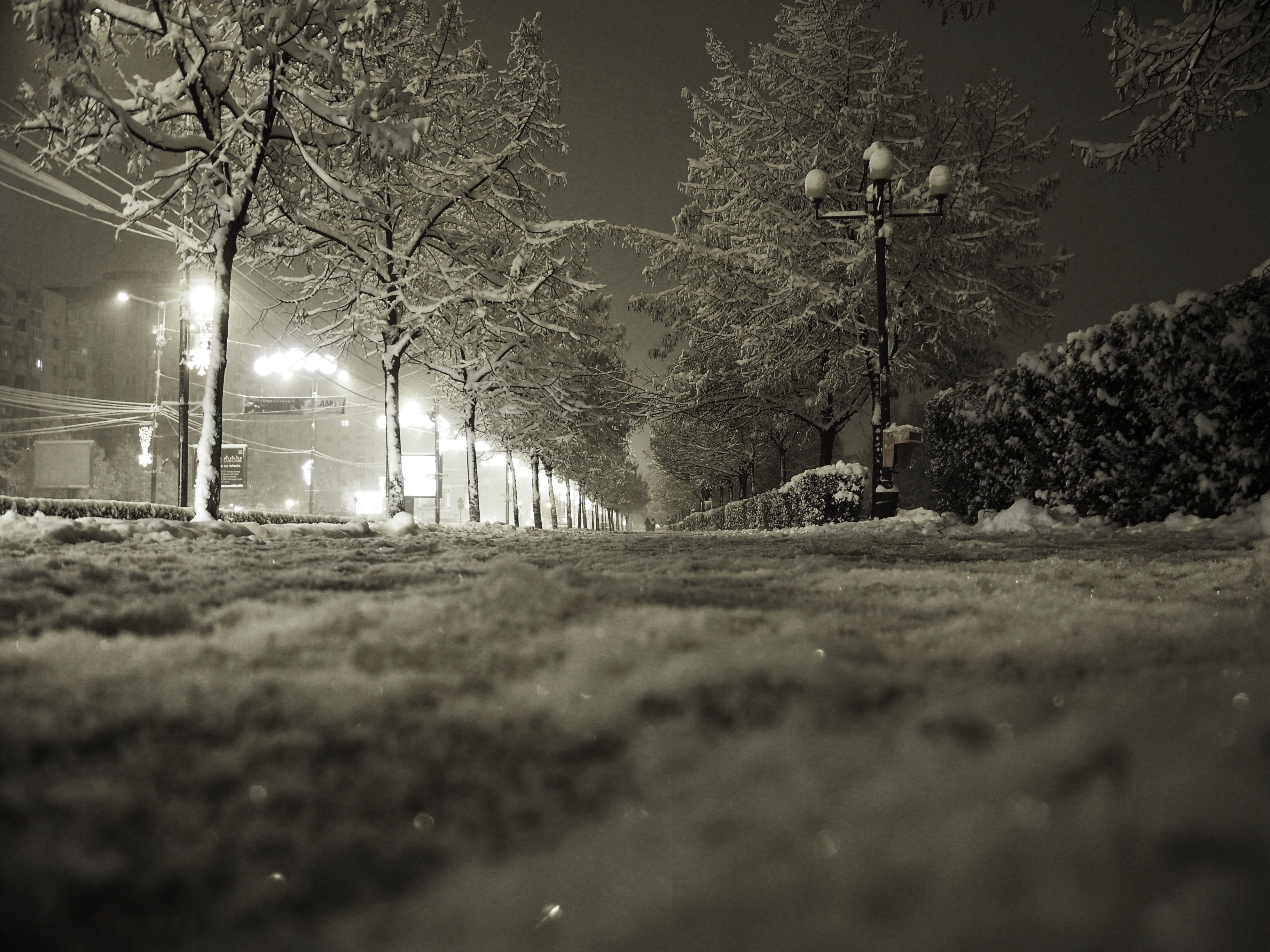 Winter nights by grim-smc on DeviantArt