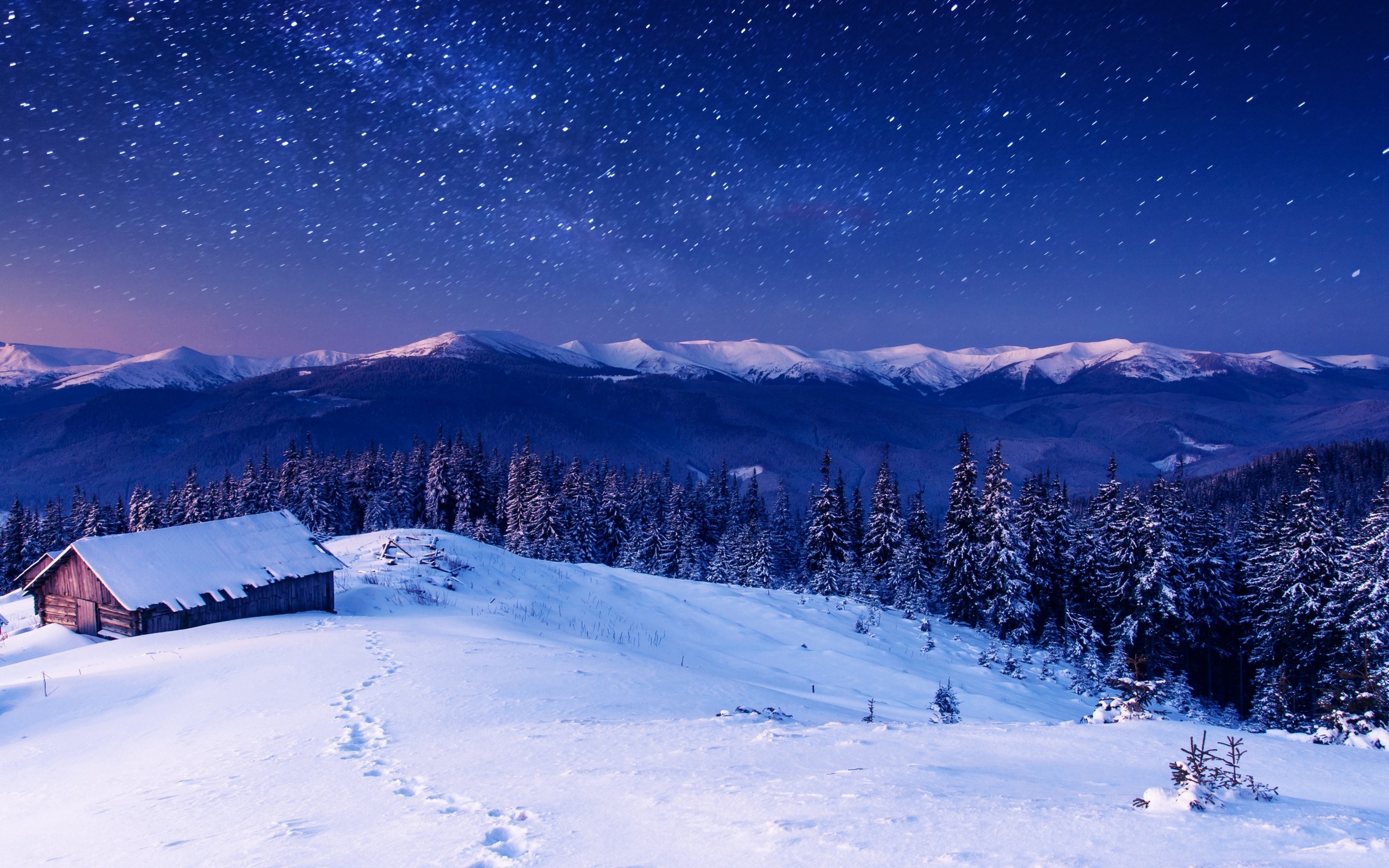 Winter: Starry Winter Evening Nature Stars Snow Night Sky Image ...