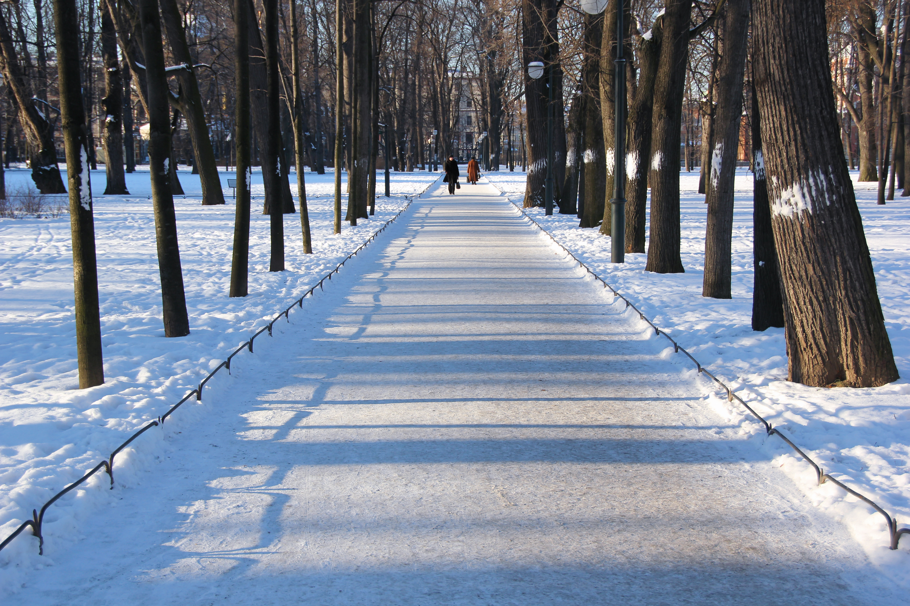 Winter park, Winterlandscape, Snowdrift, Road, Russian, HQ Photo