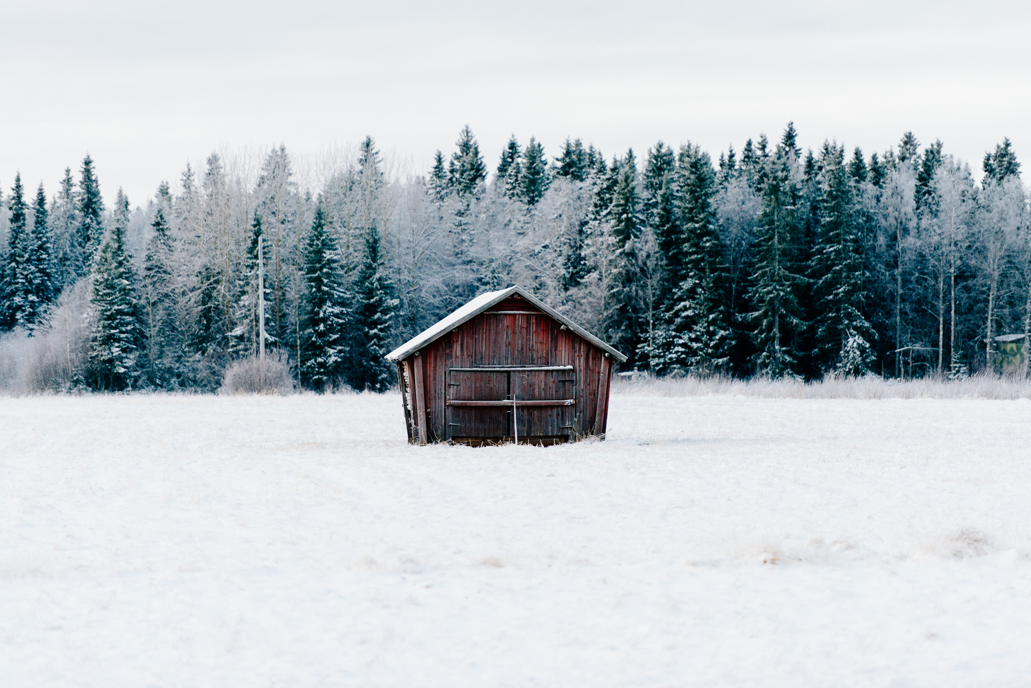 Shooting in a Winter Wonderland: Extreme Weather Photography Tips ...