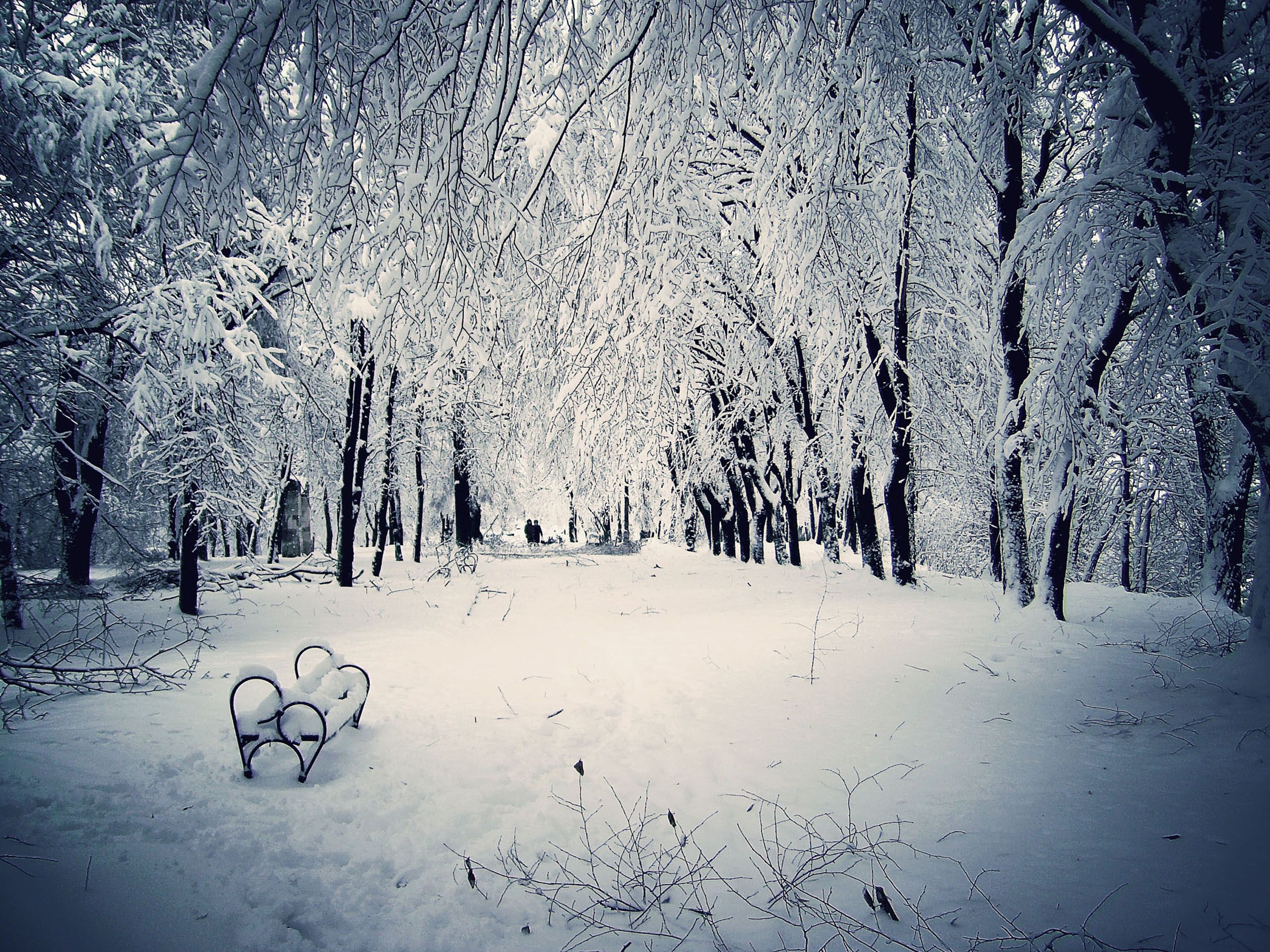Winter-Snow-Scenes-Wallpapers-Gallery-(92-Plus)-PIC-WPW509679 ...
