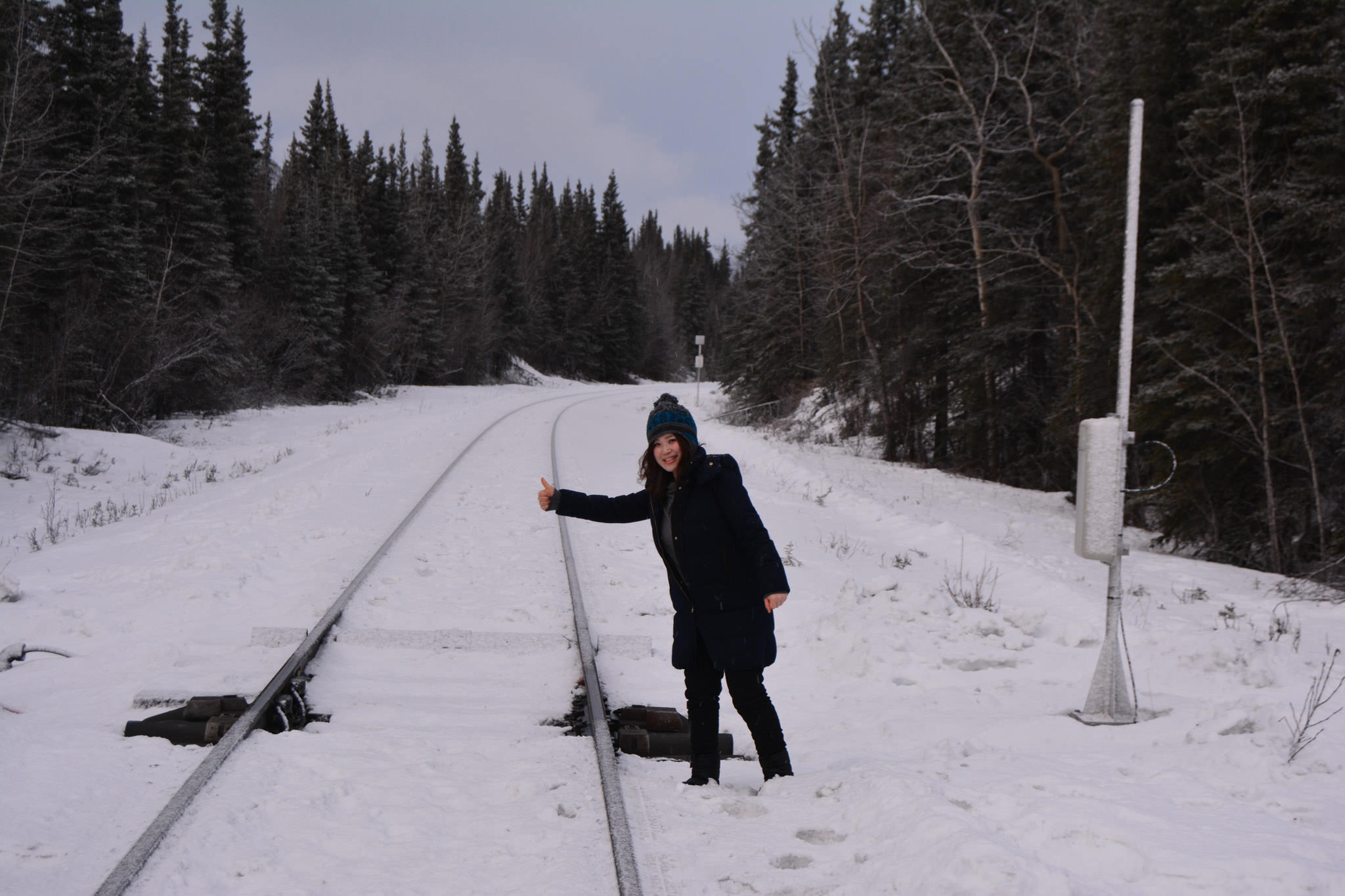 Denali Winter Drive Adventure | Guided Tour from Fairbanks, AK