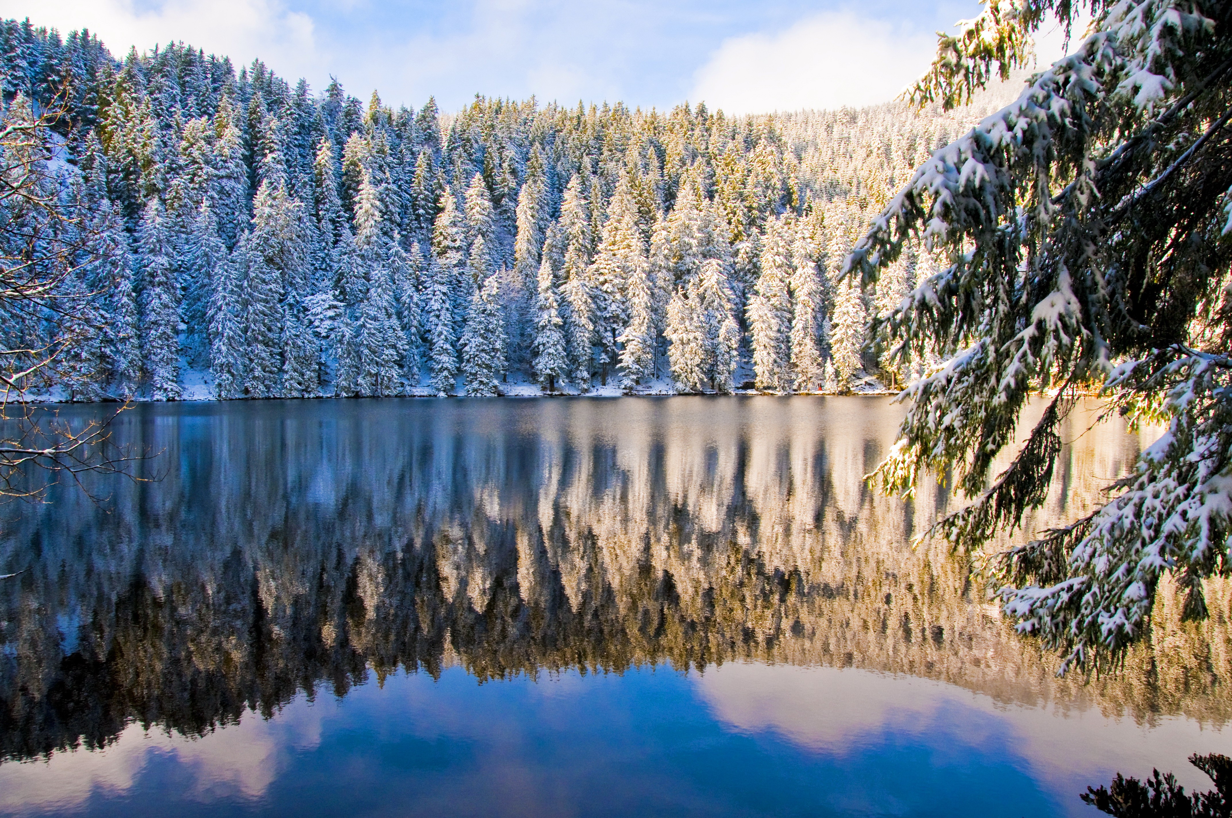 Lakes: Beautiful Mirrored Shore Water Nature Winter Reflection ...