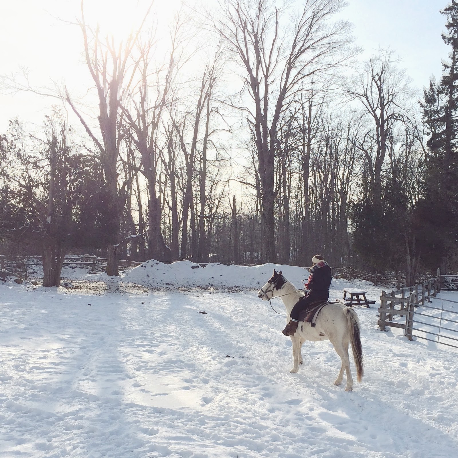 A Winter Ride + Mulled Currant Tea • Brittany Stager