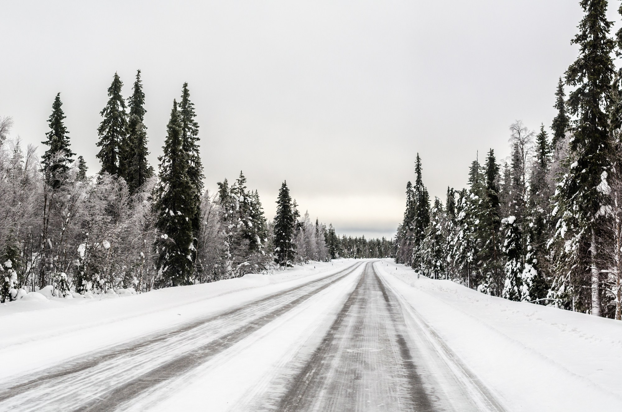 All About the Winter Road Trip in Finland & Norway | Independent People