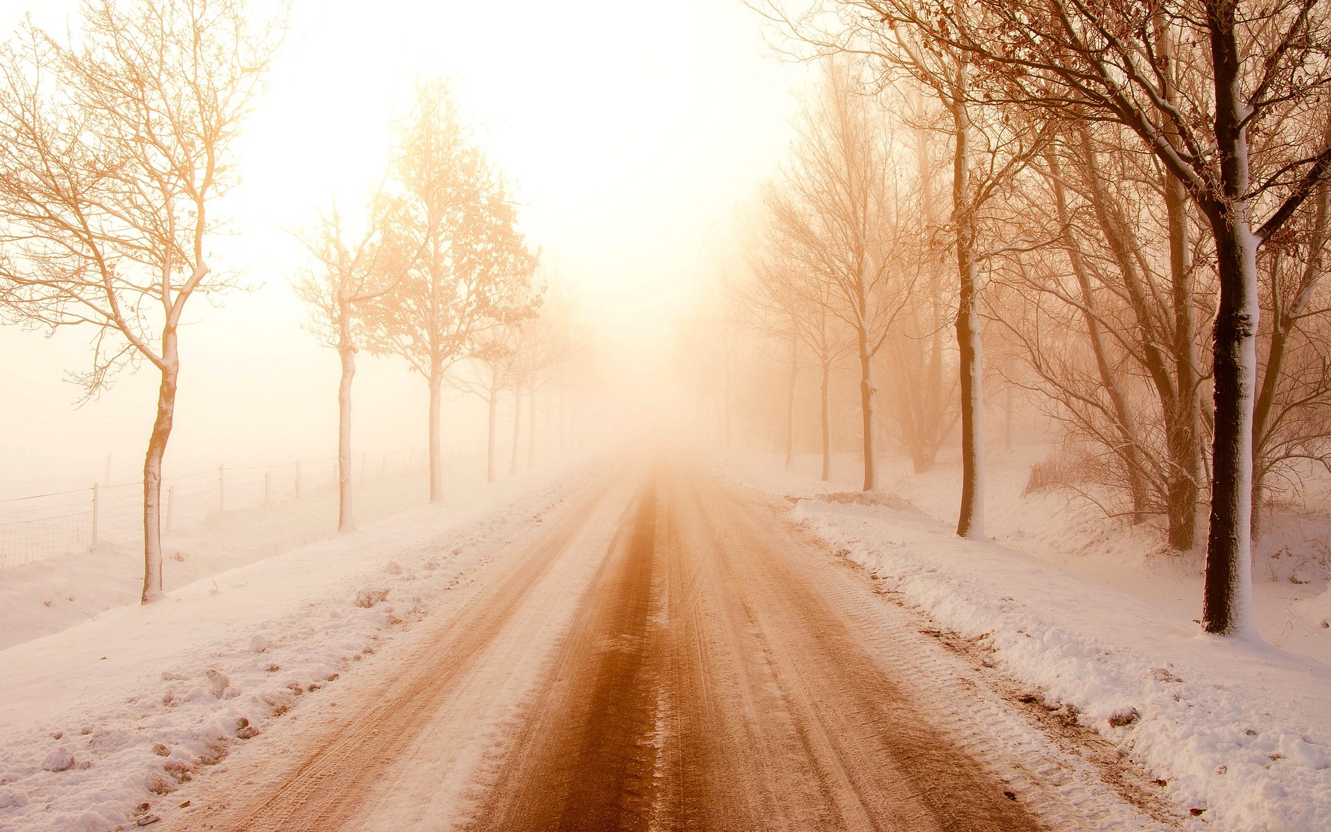 Winter, road, sun and fog / 1920 x 1200 / Other / Photography ...