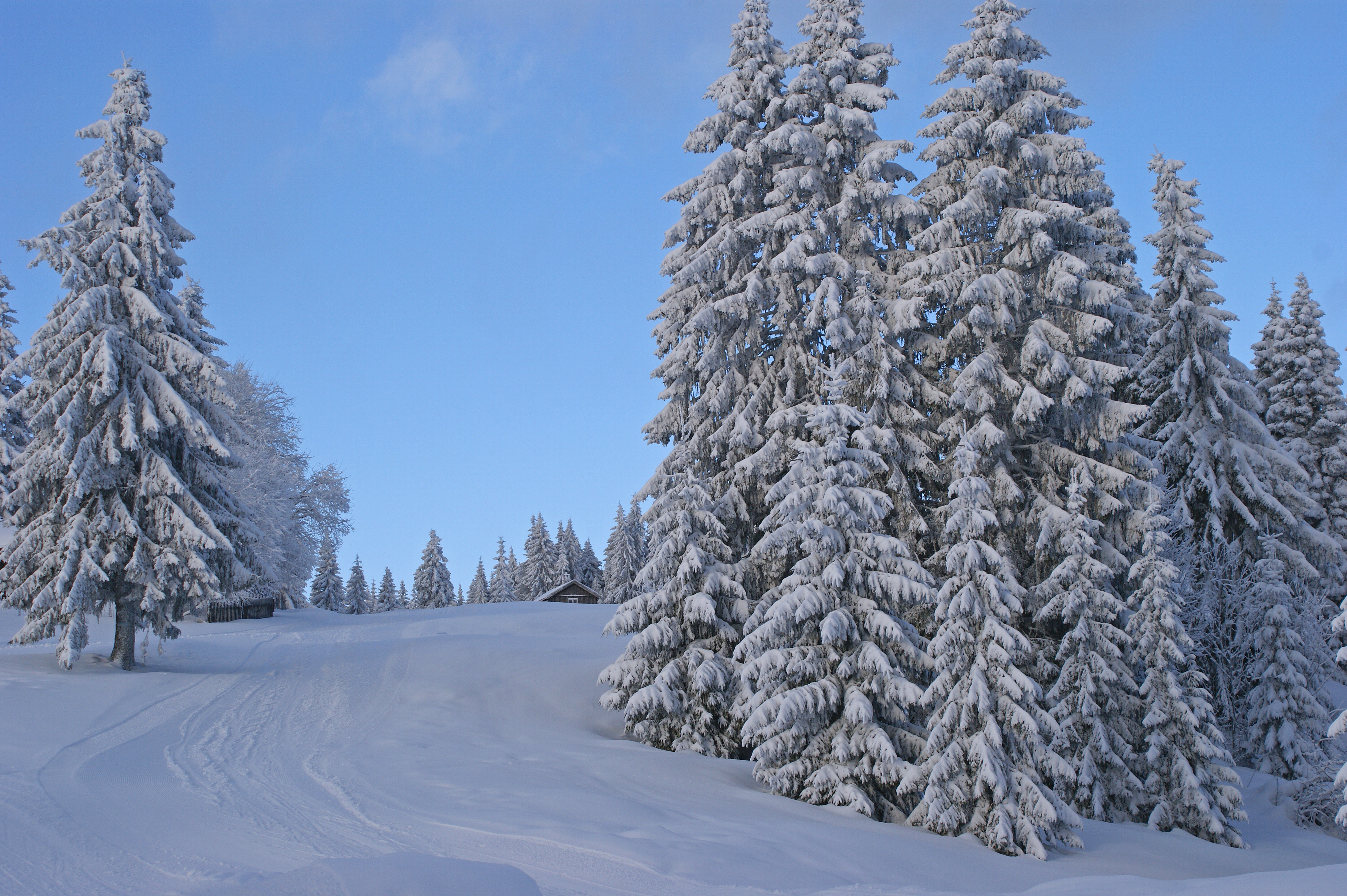 File:Winter scene (8435687527).jpg - Wikimedia Commons