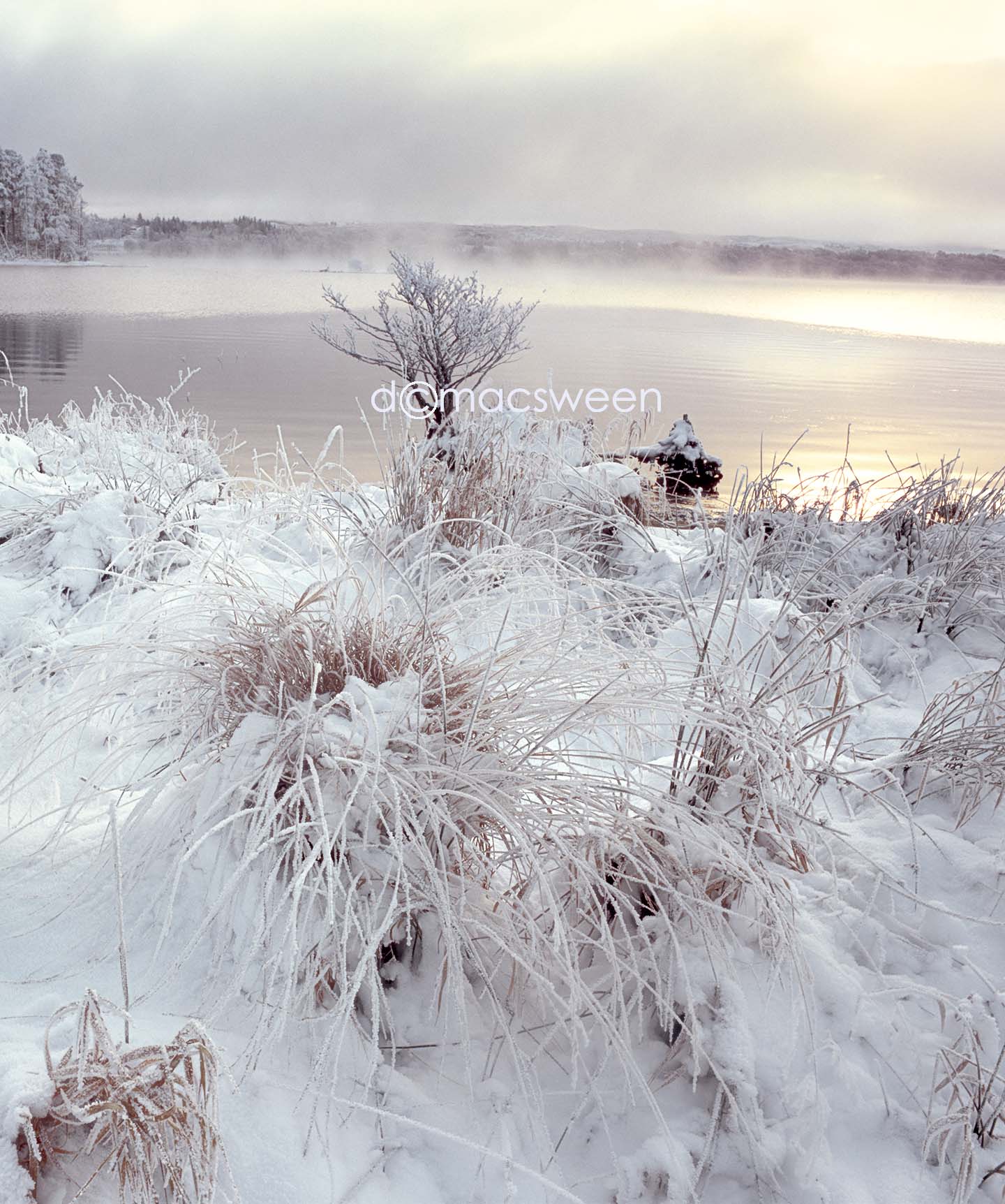 Canvas Wraps & Prints of Loch Arkaig Winter scene 1