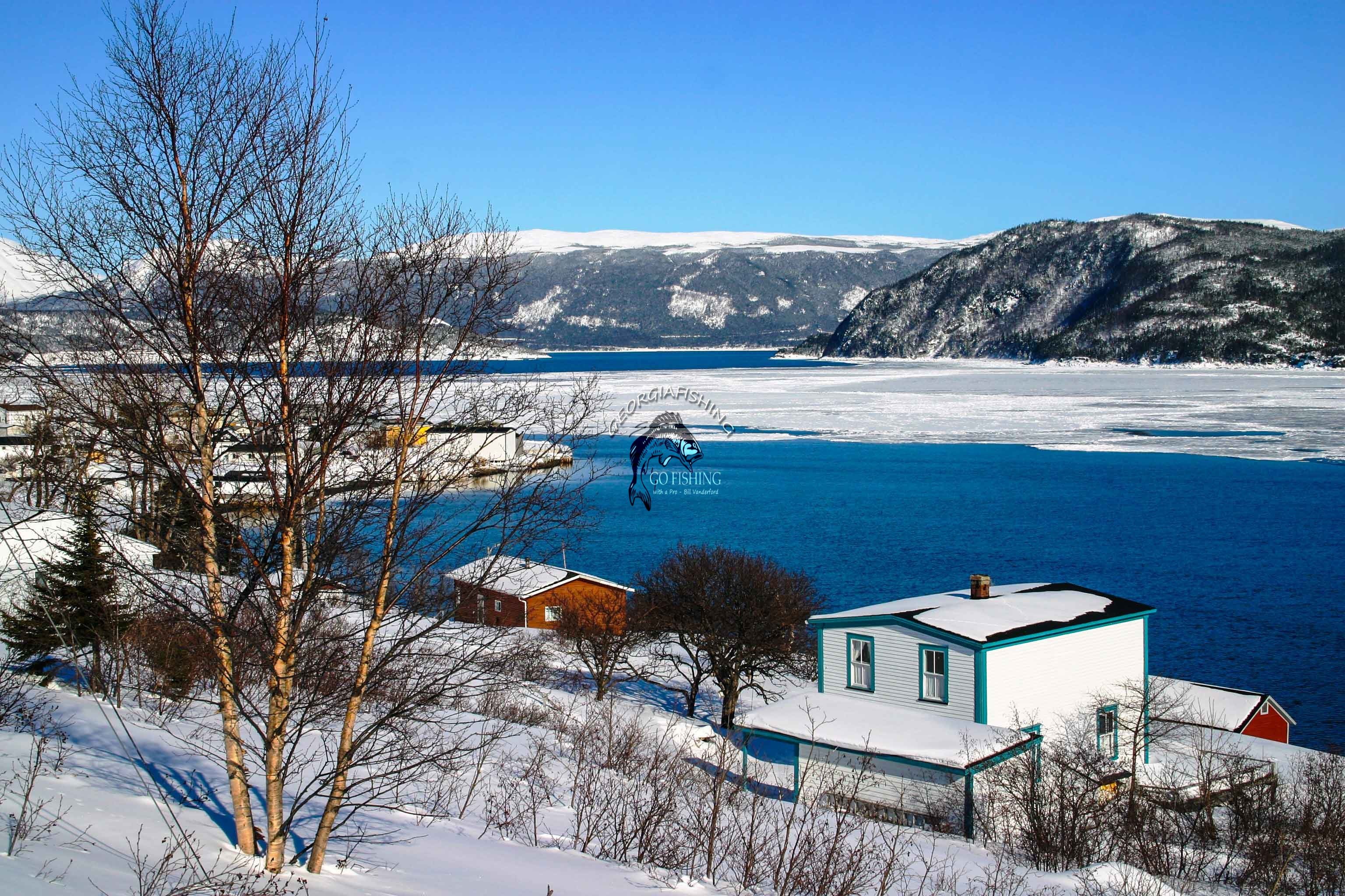 Magical Winter Scene in Newfoundland-Photo by Bill Vanderford ...