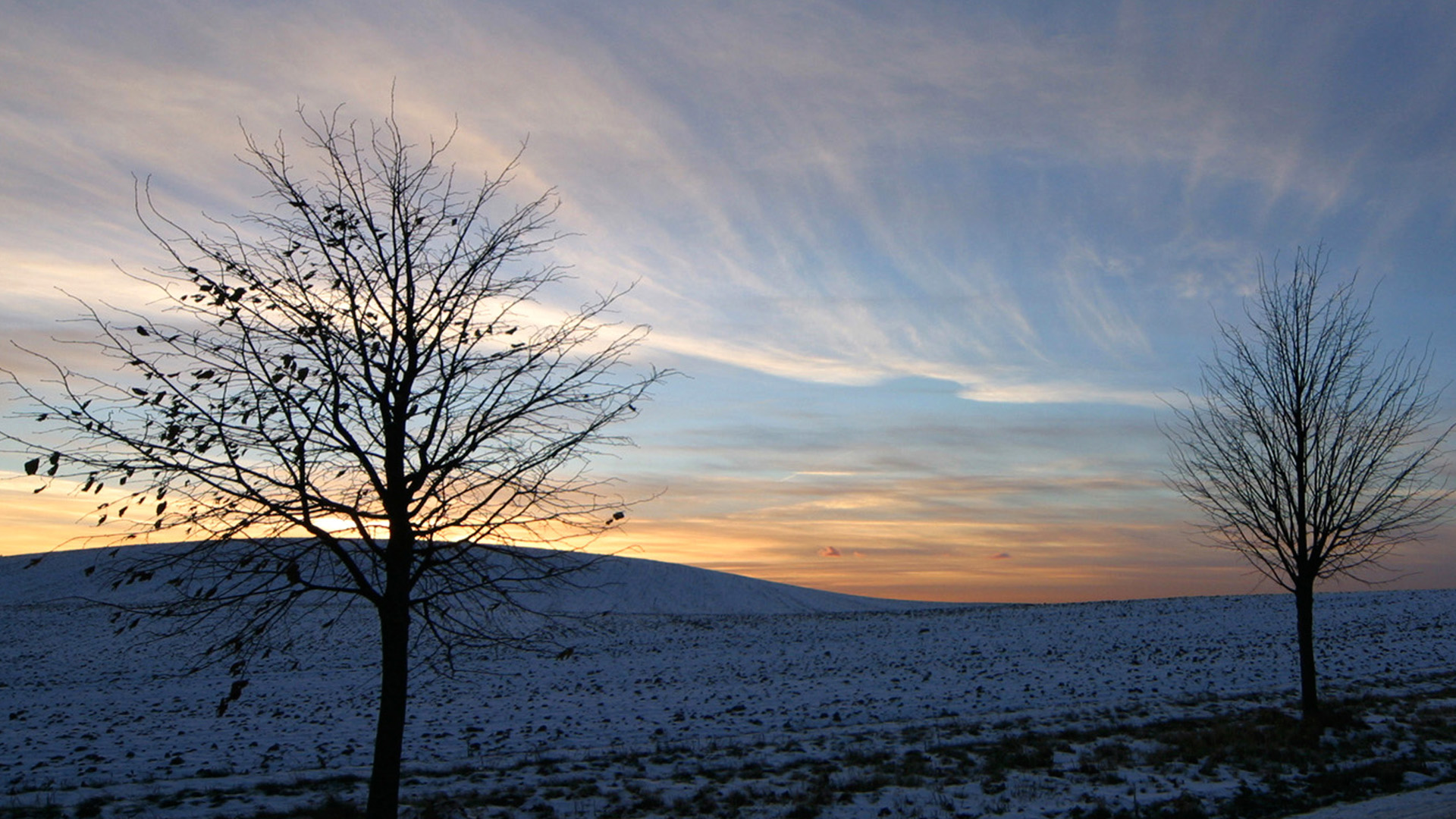 Free photo: Winter Sky - Clouds, Morning, Sky - Free Download - Jooinn