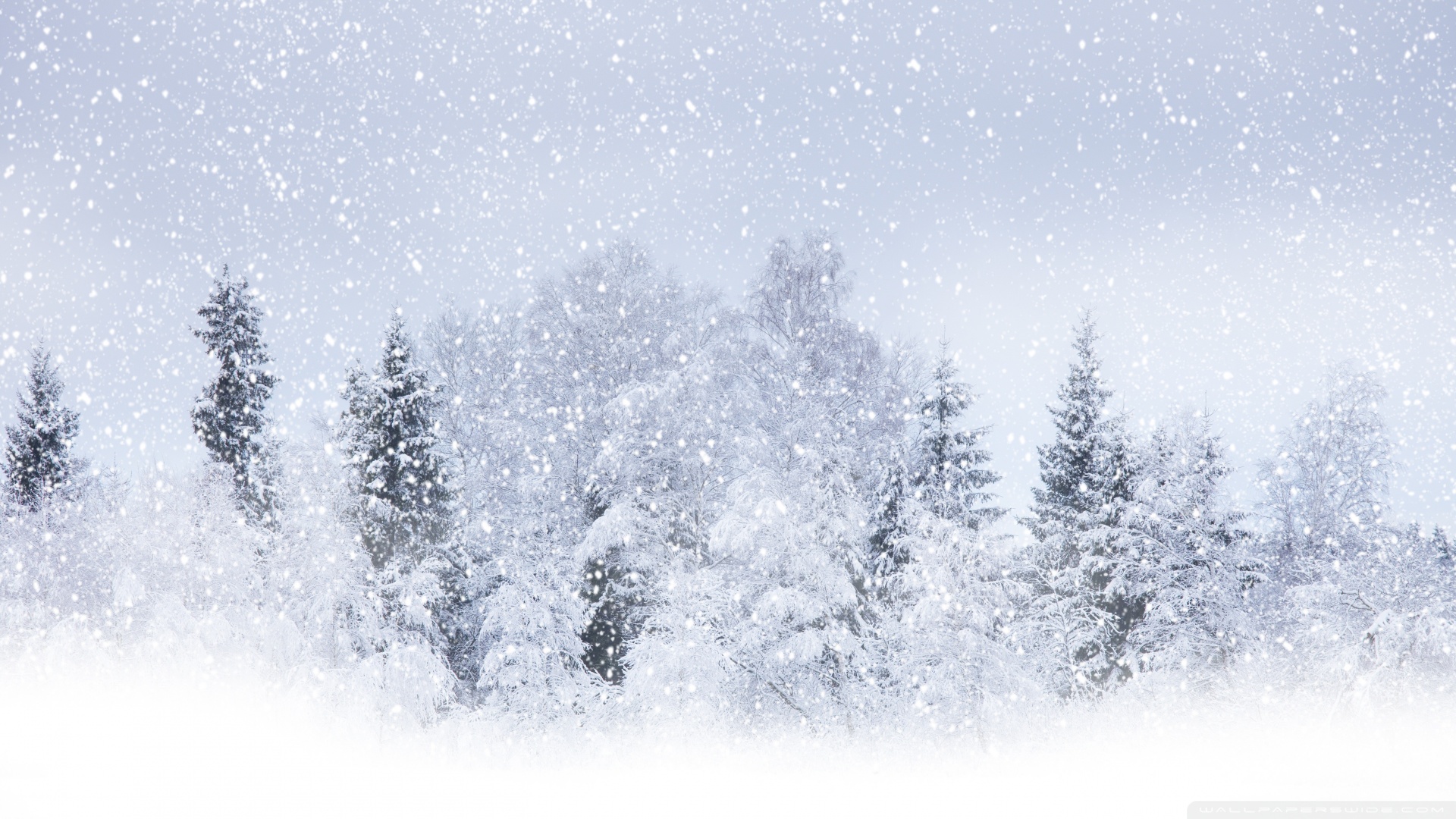 Winter Snow ❤ 4K HD Desktop Wallpaper for 4K Ultra HD TV • Dual ...