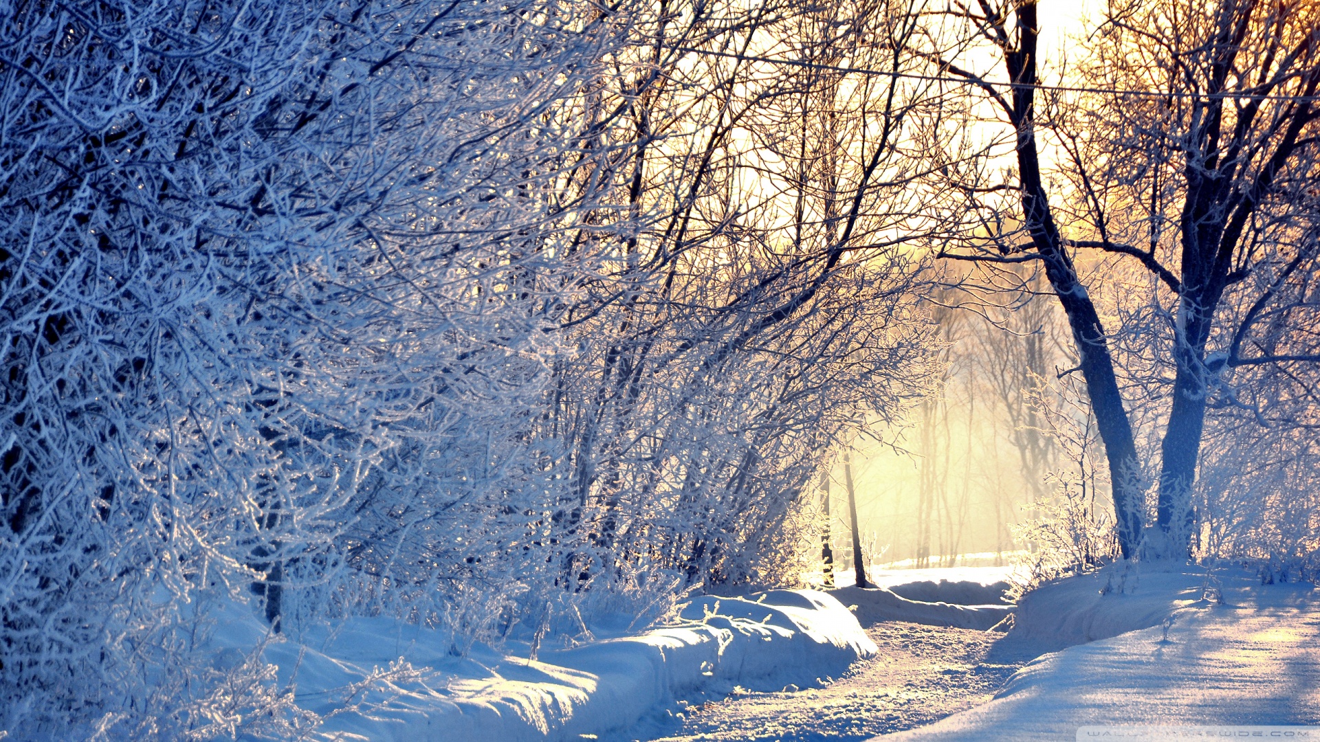 Winter Sun by Steelscreen on DeviantArt