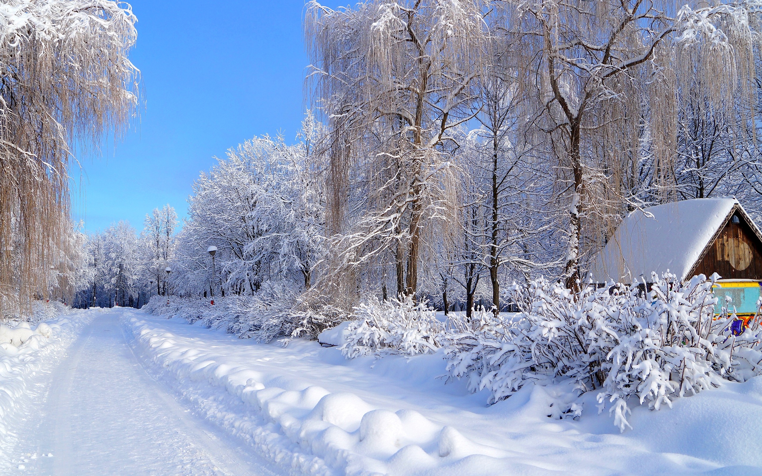 Winter Time | HD Wallpapers