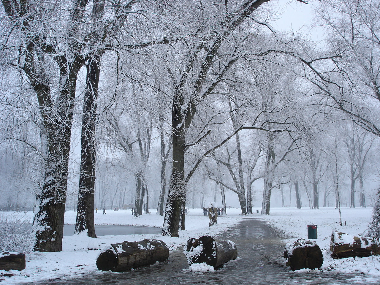 Winter time, Park, Snow, Trees, Winter, HQ Photo