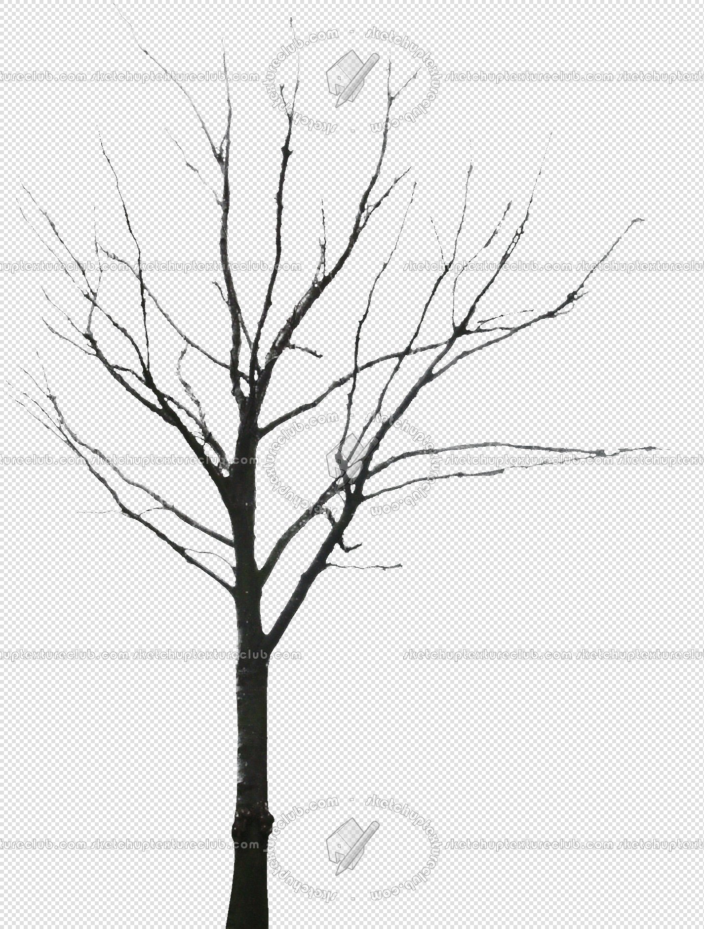 Packs - CUT OUT - Vegetation - Trees - CUT OUT WINTER TREES PACK 2 00039