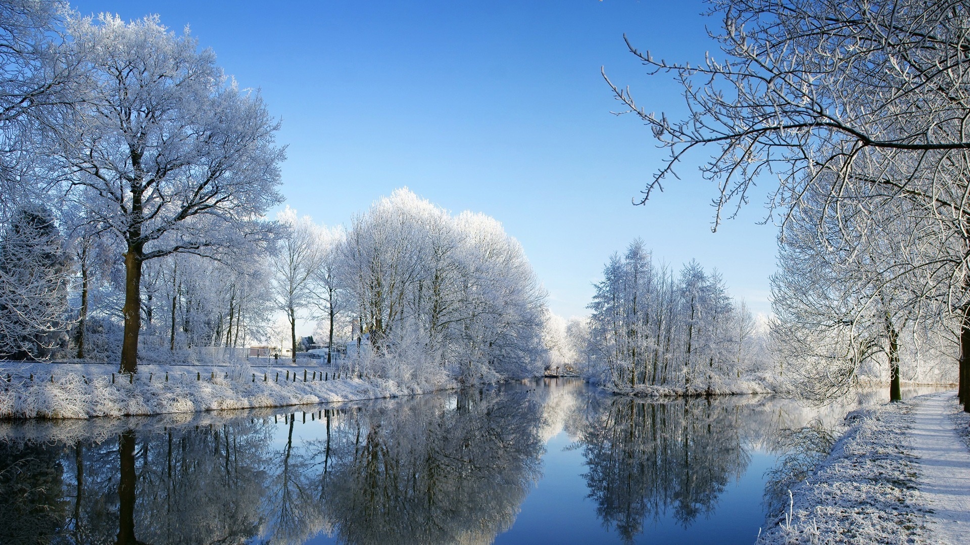Scenery Pics images Winter trees HD wallpaper and background photos ...