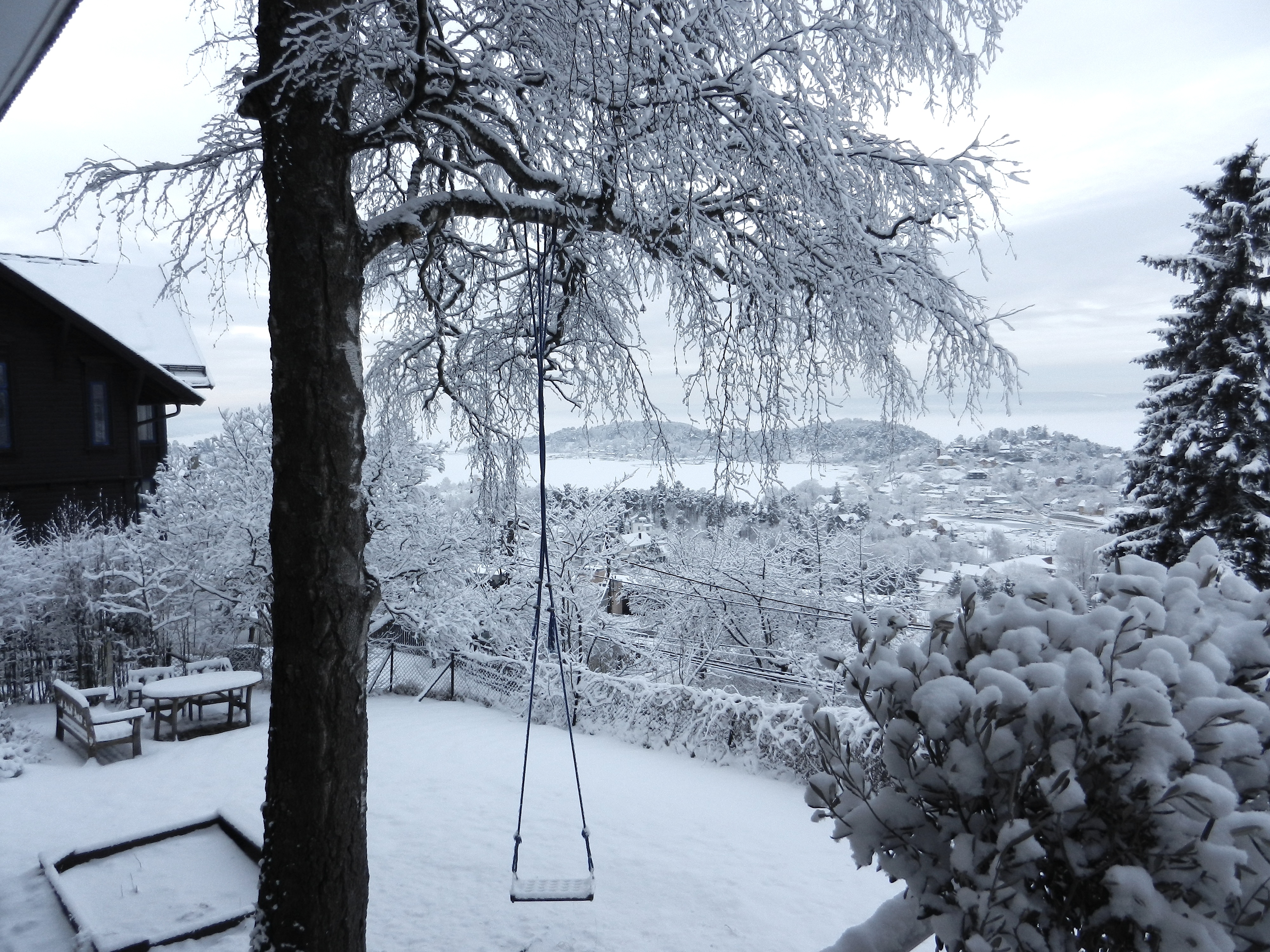Winter View | Linda Marveng