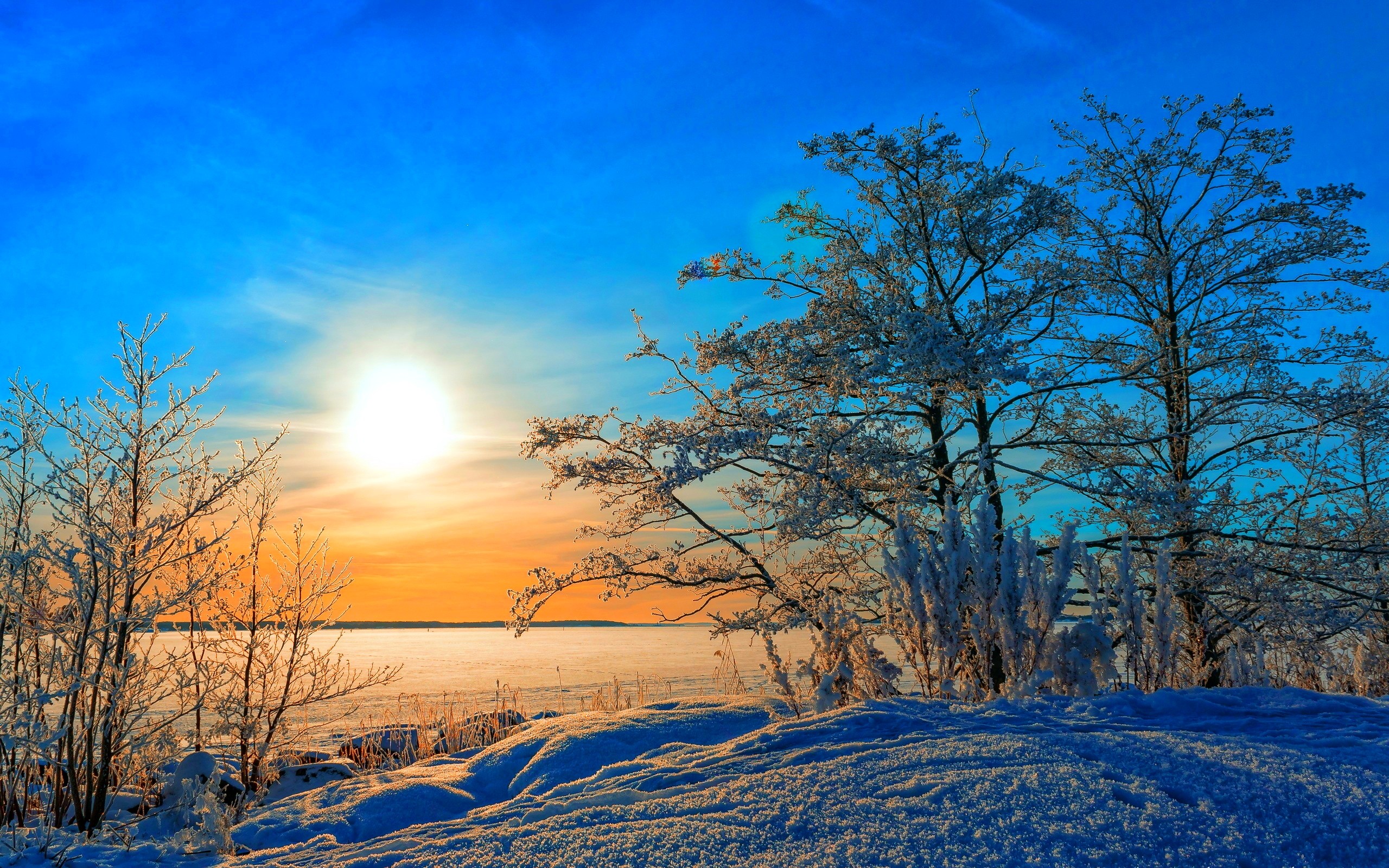 Sunsets: Beautiful Nature Winter View Sky Blue Trees Snow Sunset ...