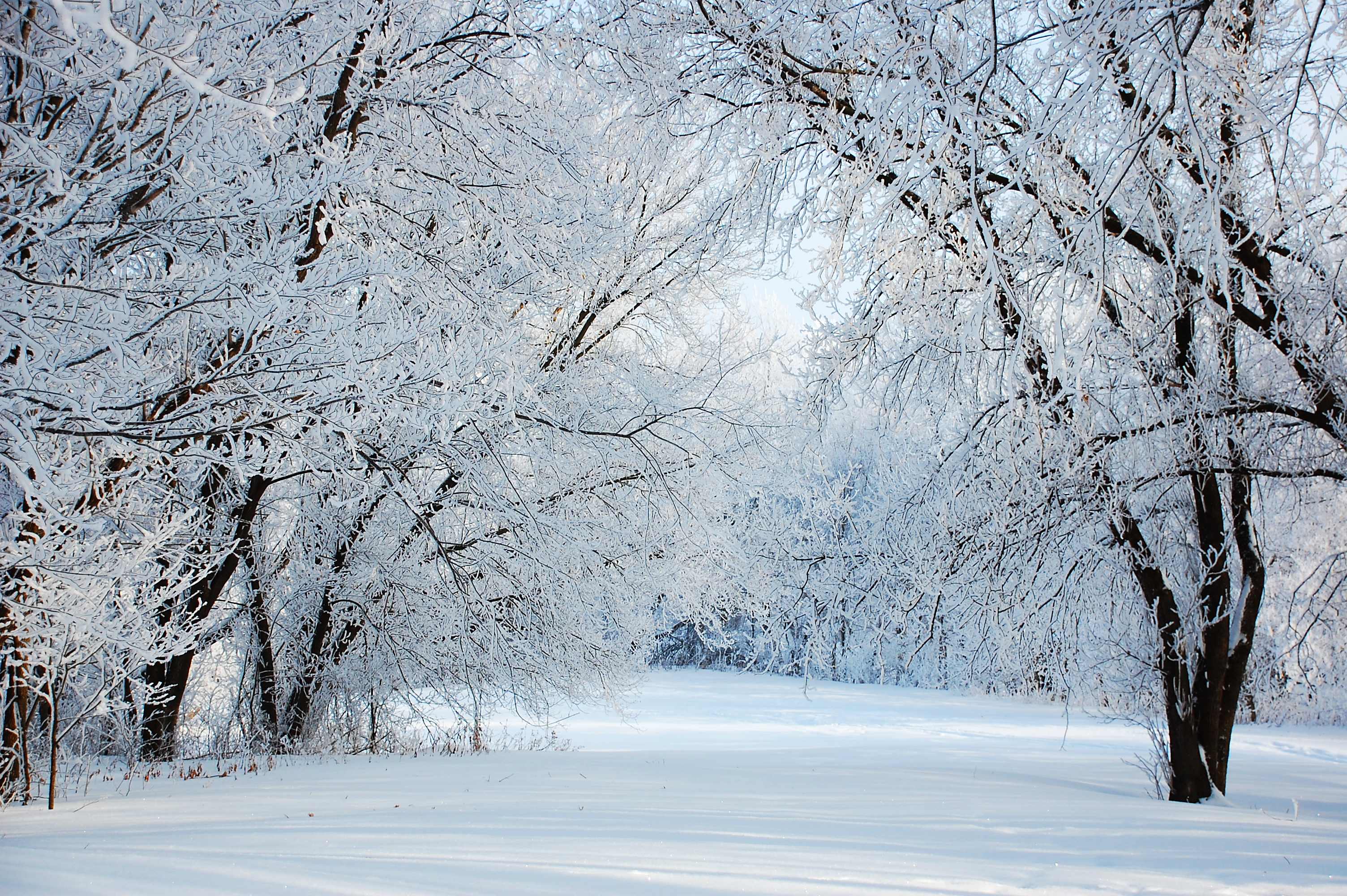 Winter-Wonderland-Pictures-Wallpapers-Gallery-(75-Plus)-PIC ...