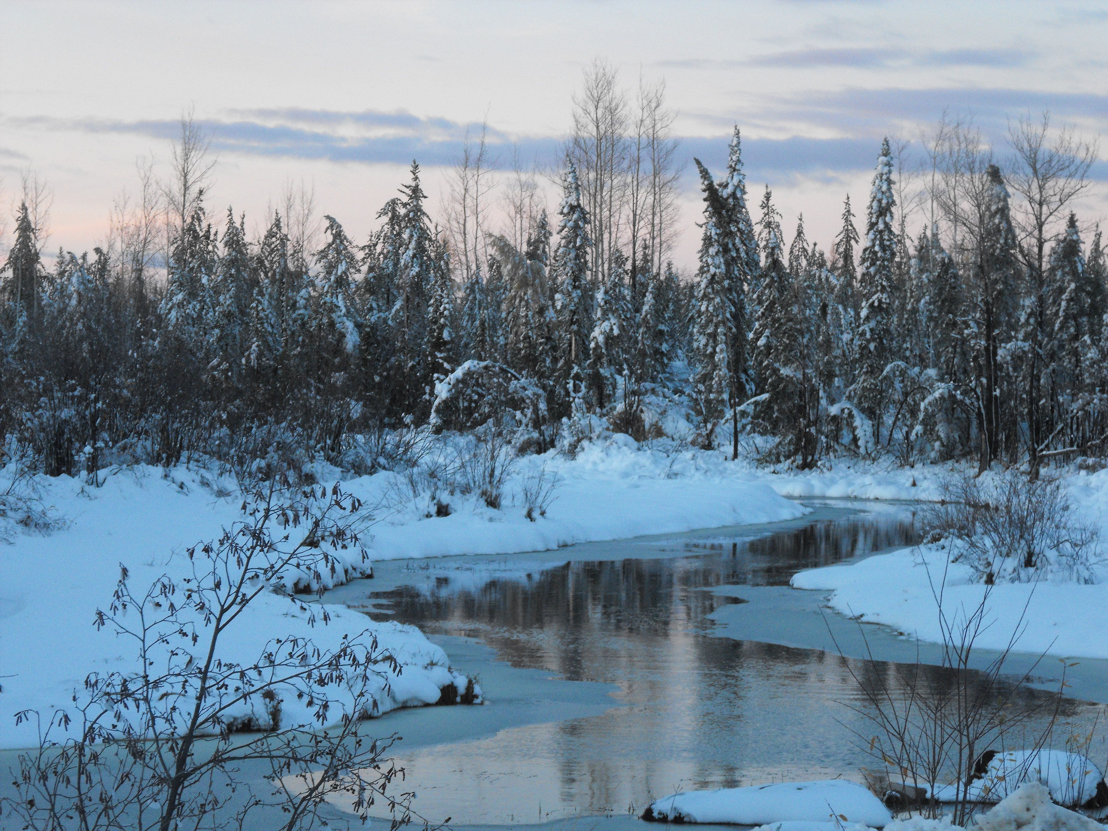 Winter Wonderland #2 | Northern Landscapes | Pinterest | Paintings