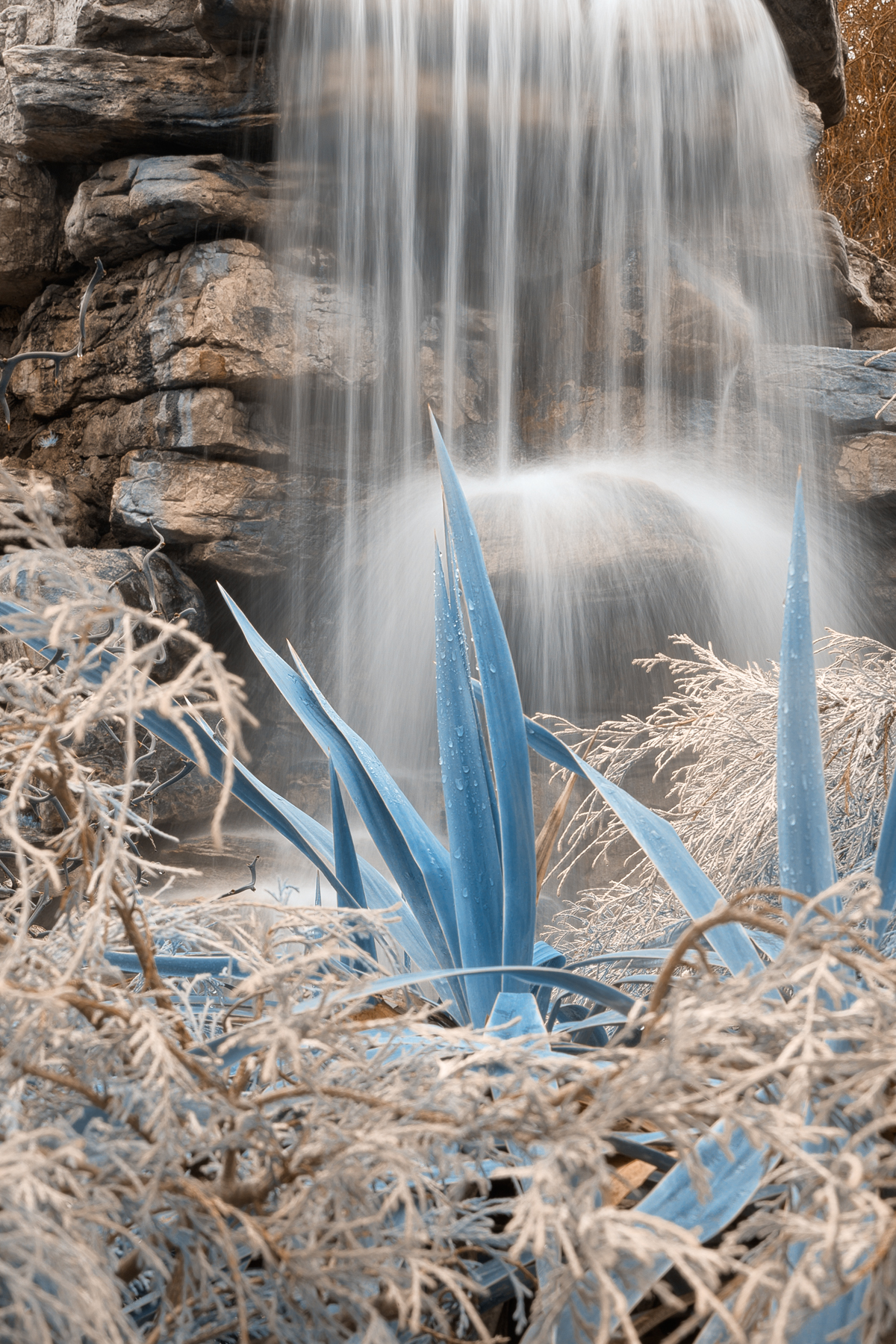 Wintry blue waterfall foliage - hdr photo