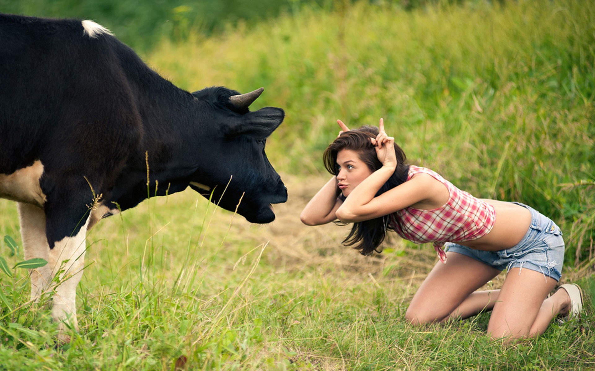 Girl with a cow wallpapers and images - wallpapers, pictures, photos