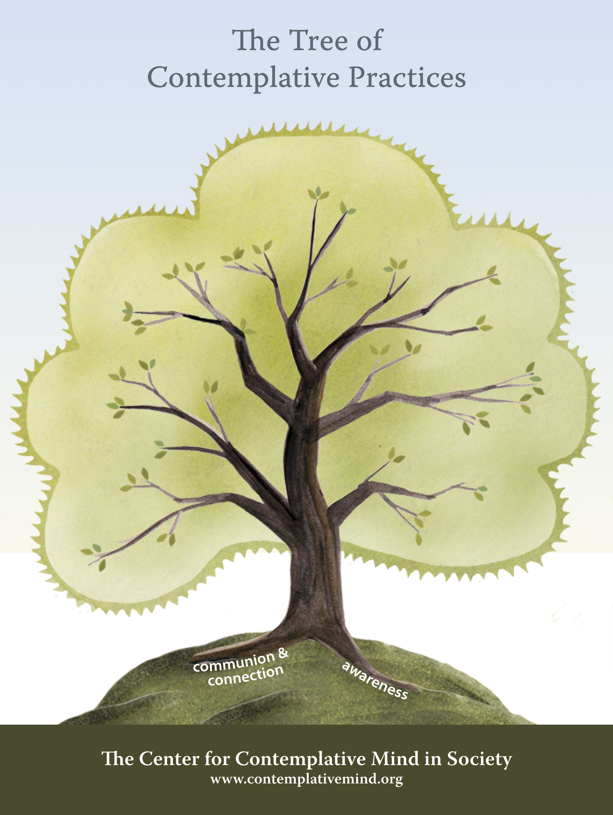 The Tree of Contemplative Practices | The Center for Contemplative ...