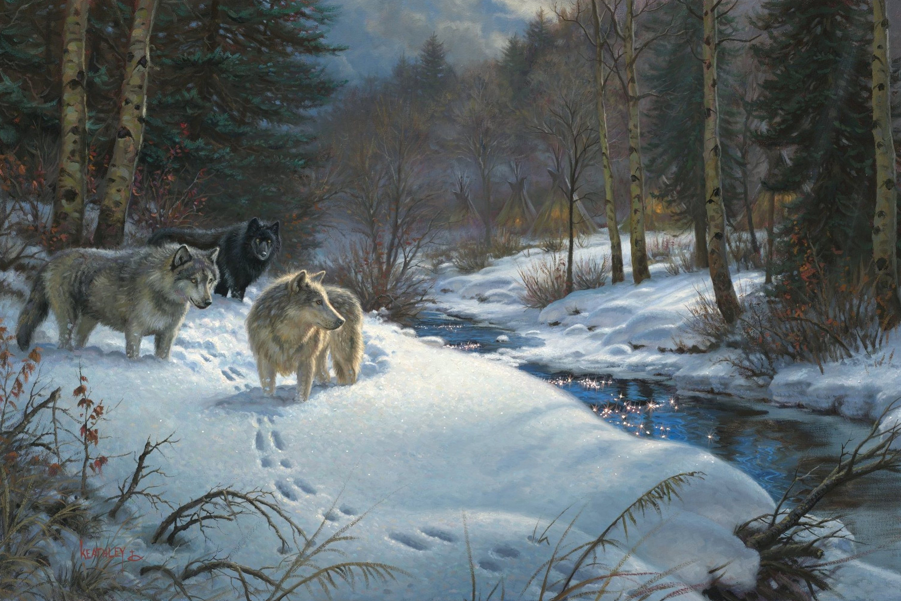 Wolf in Winter Beautiful Landscape Background | Gallery ...