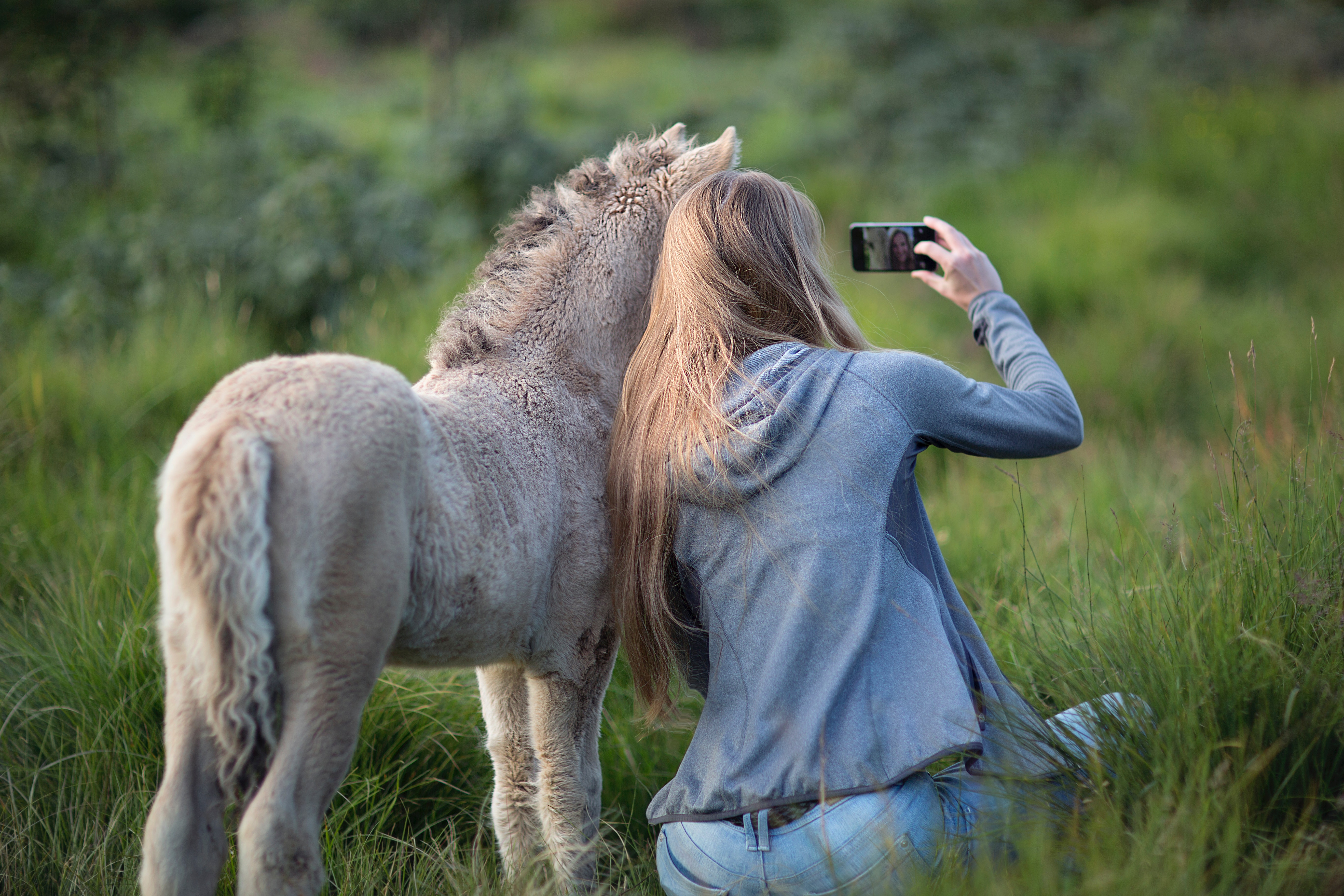 Woman beside donkey taking selfie on grass photo
