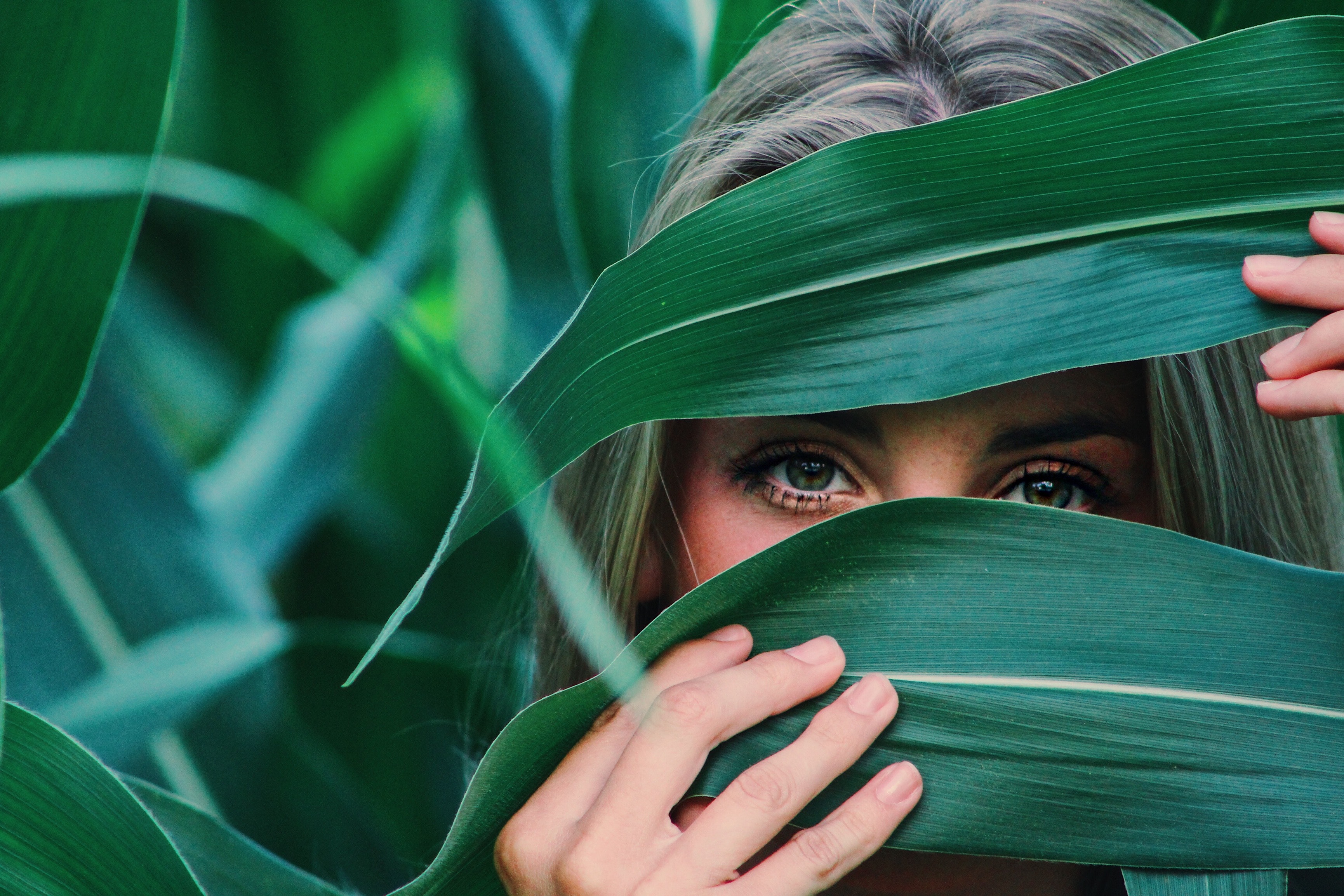 Woman covering her face with corn leaves photo