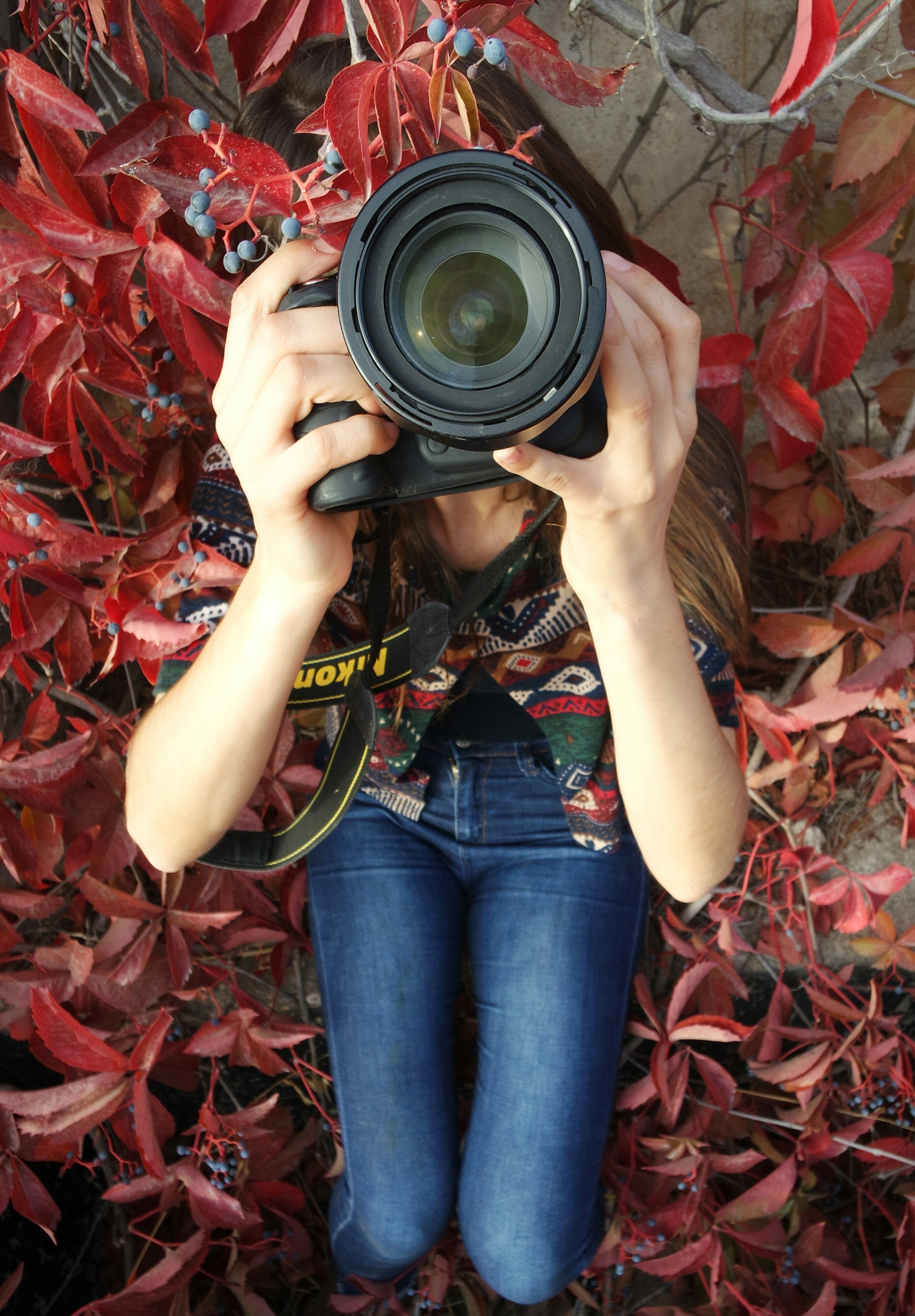 Woman holding dslr camera sitting on red leaved plant photo