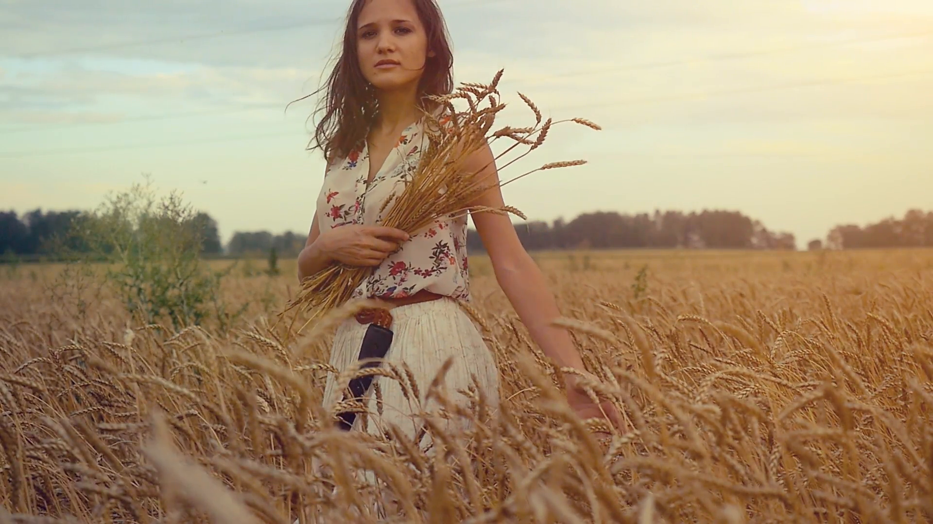 Woman walking in a wheat field. Hand of a young girl touching corn ...