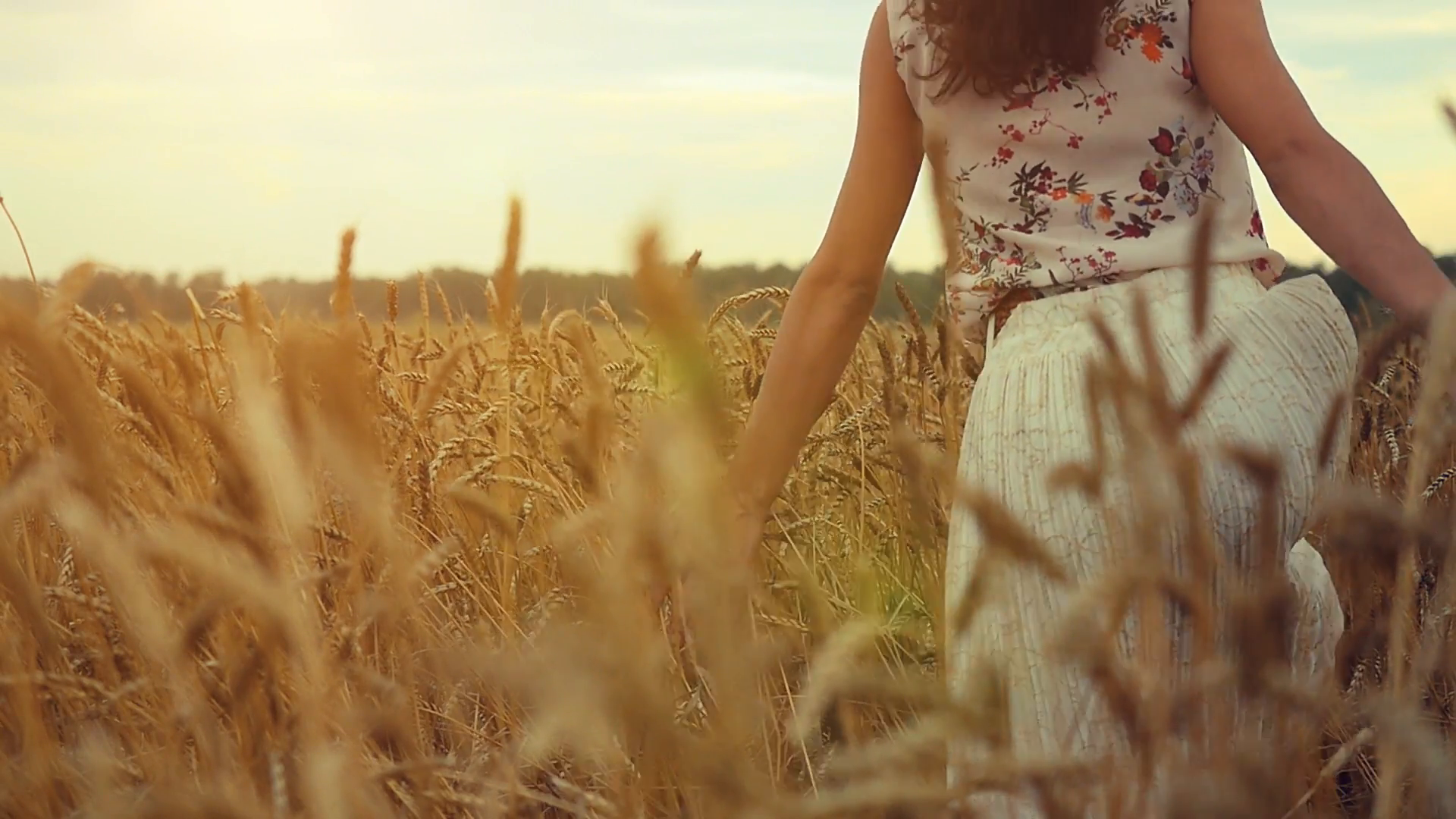 Woman walking in a wheat field. Hand of a young girl touching corn ...