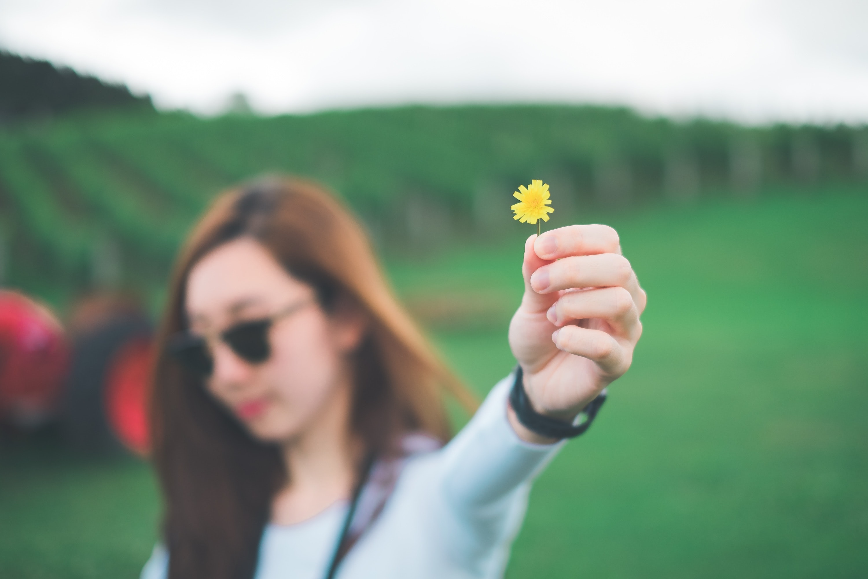 Woman holding yellow petaled flower photo