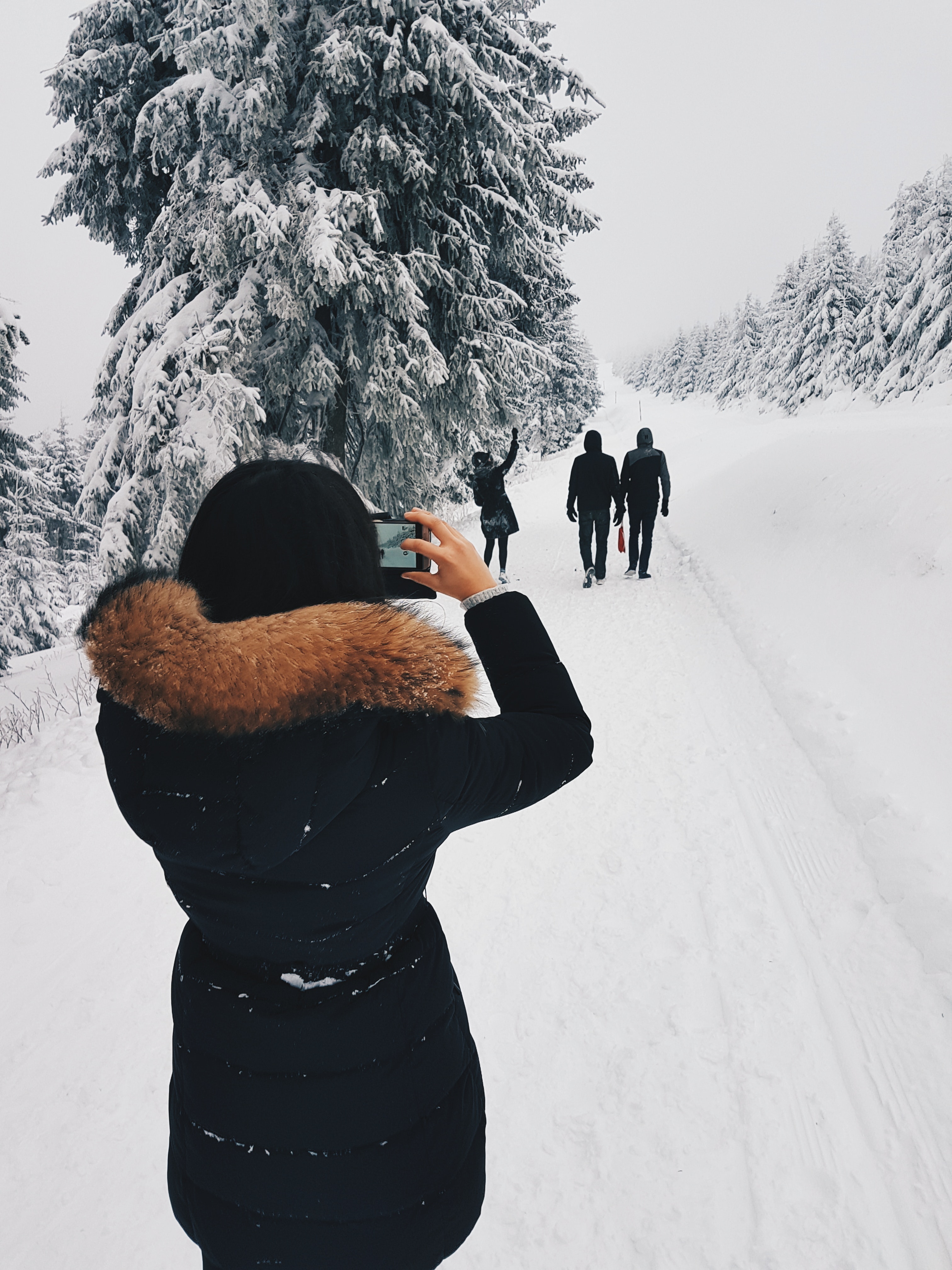 Woman in black coat taking a picture of three person in front of her while walking through snow field photo