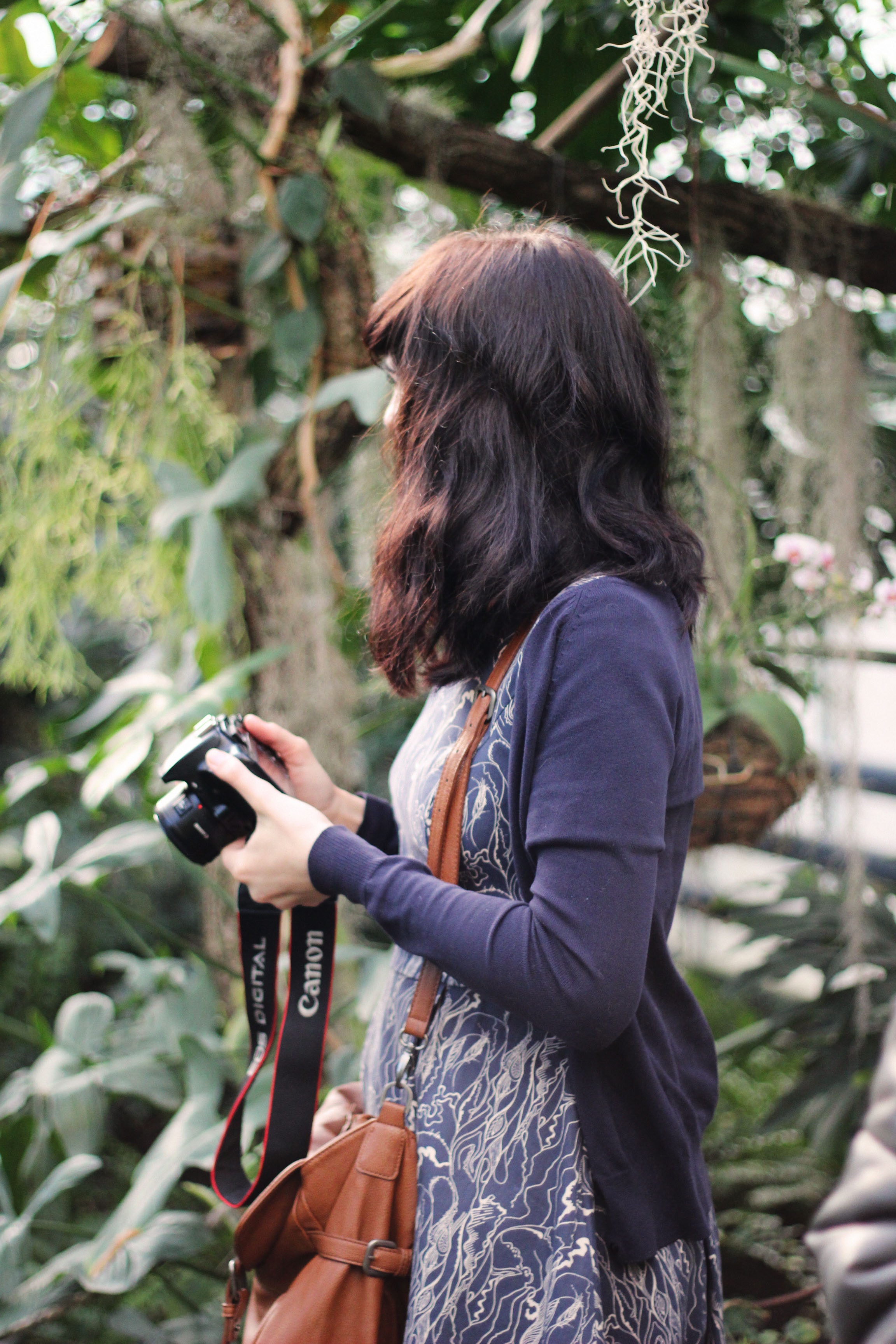 Woman in Blue Cardigan Holding Canon Dslr Camera, Bag, Park, Young, Woman, HQ Photo