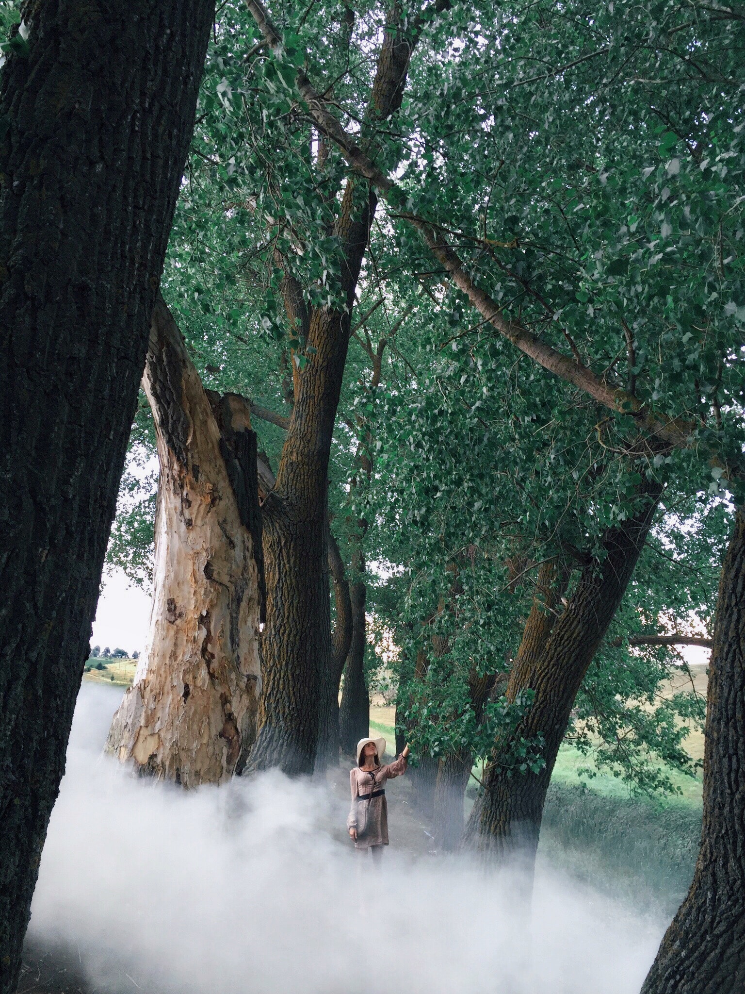 Woman in dress surrounded by white smoke and trees photo