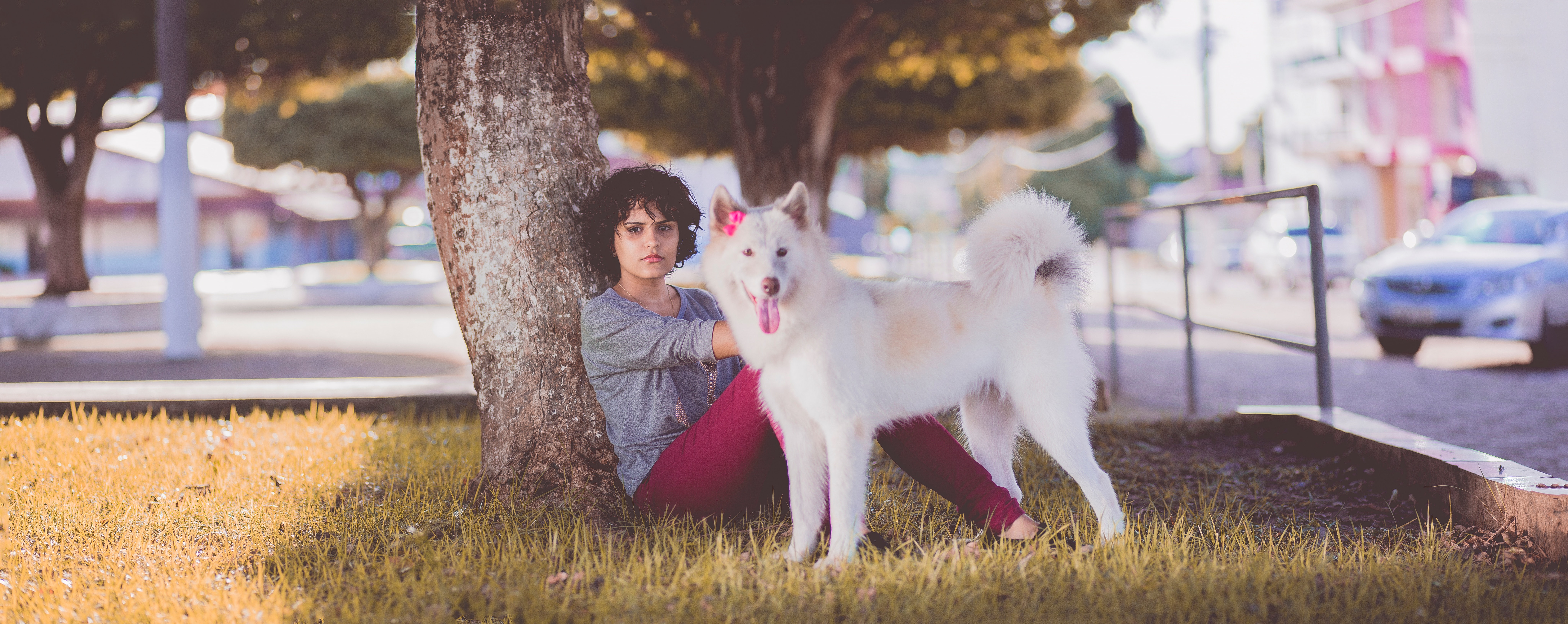 Woman in gray long sleeve top and red pants sitting beside tree and white medium coated dog photo