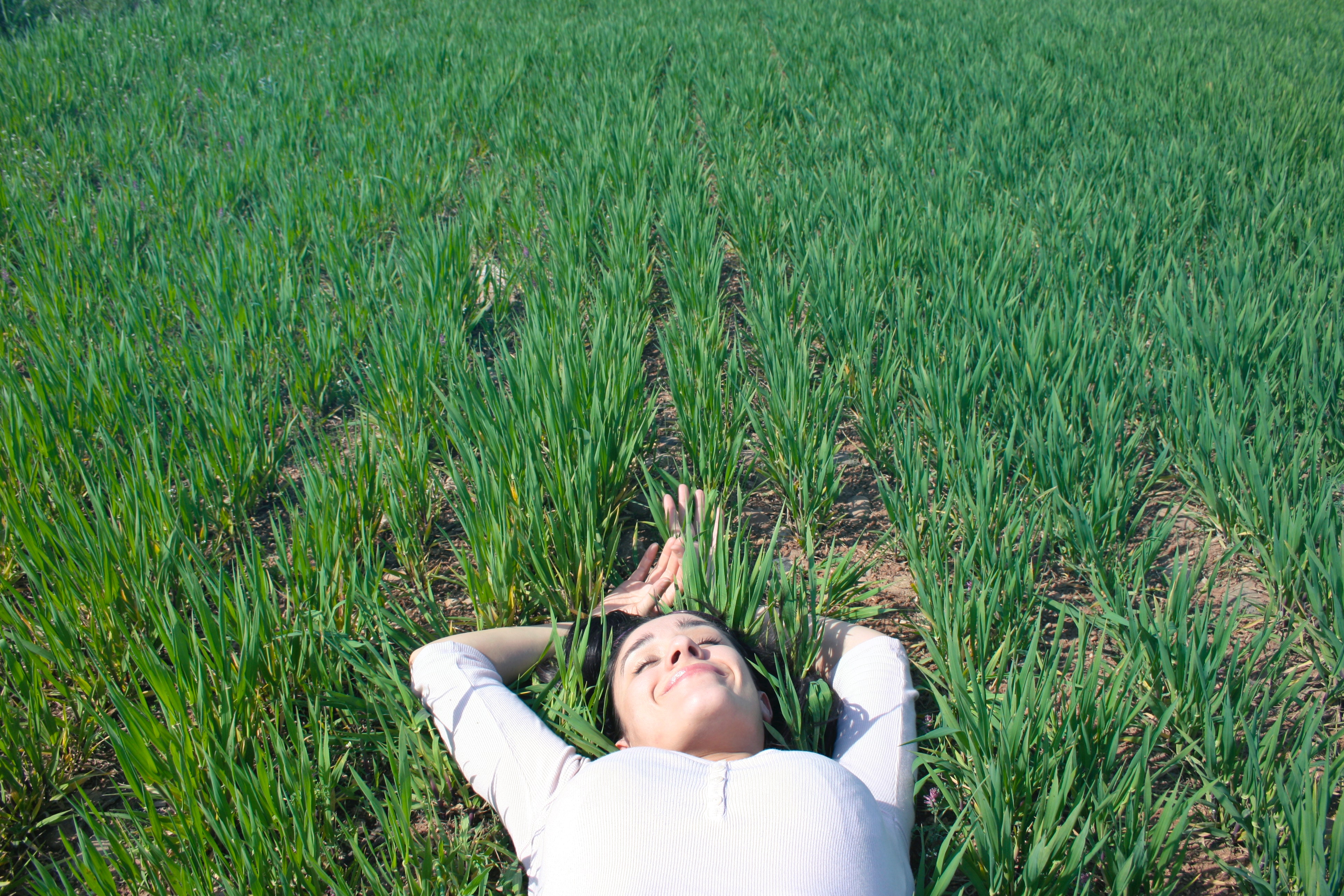 Woman laying on field of green grass photo