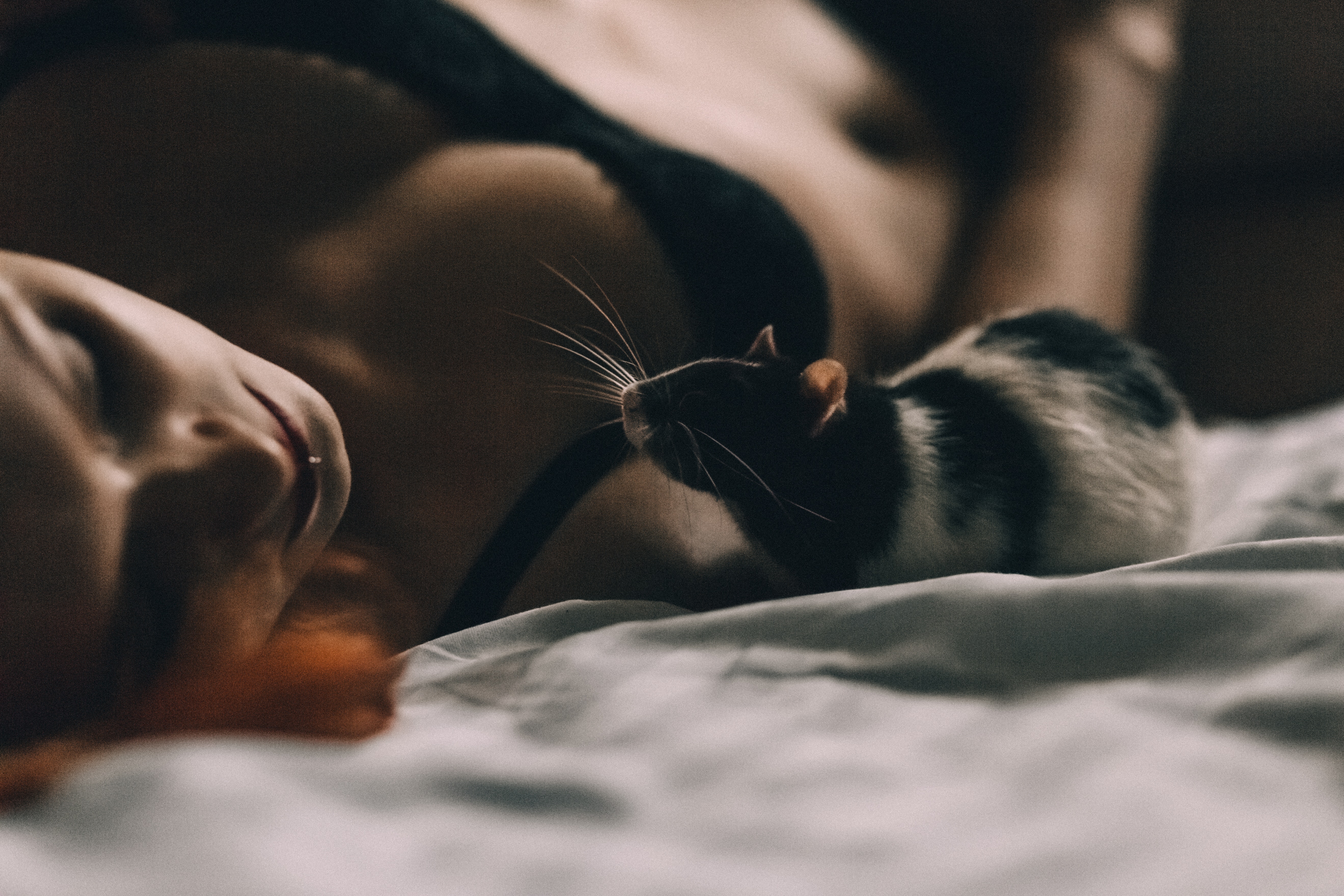 Woman lying beside white and black mice photo