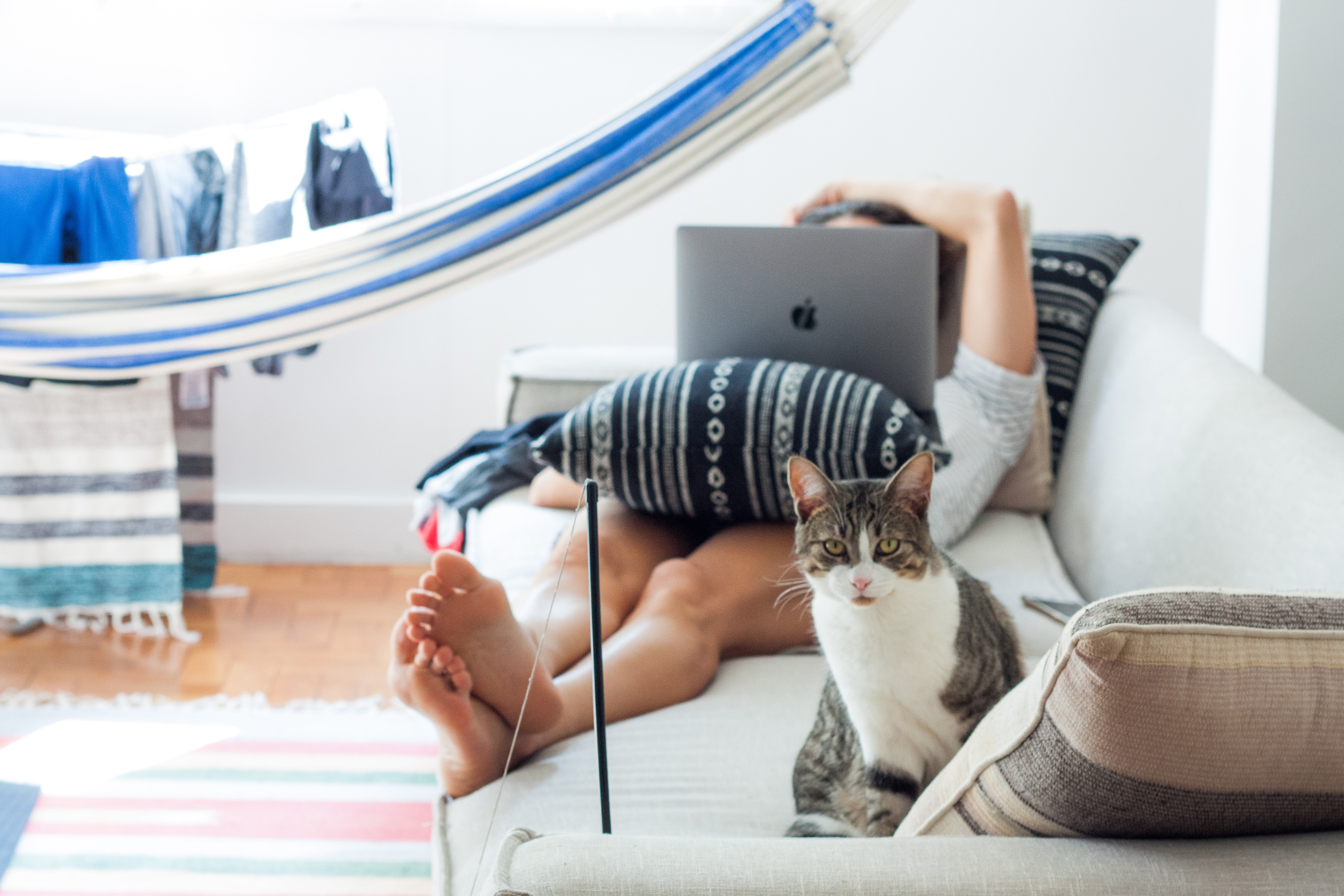 Woman Lying on Sofa With Cat by Her Foot, Adorable, Woman, Whiskers, Wear, HQ Photo