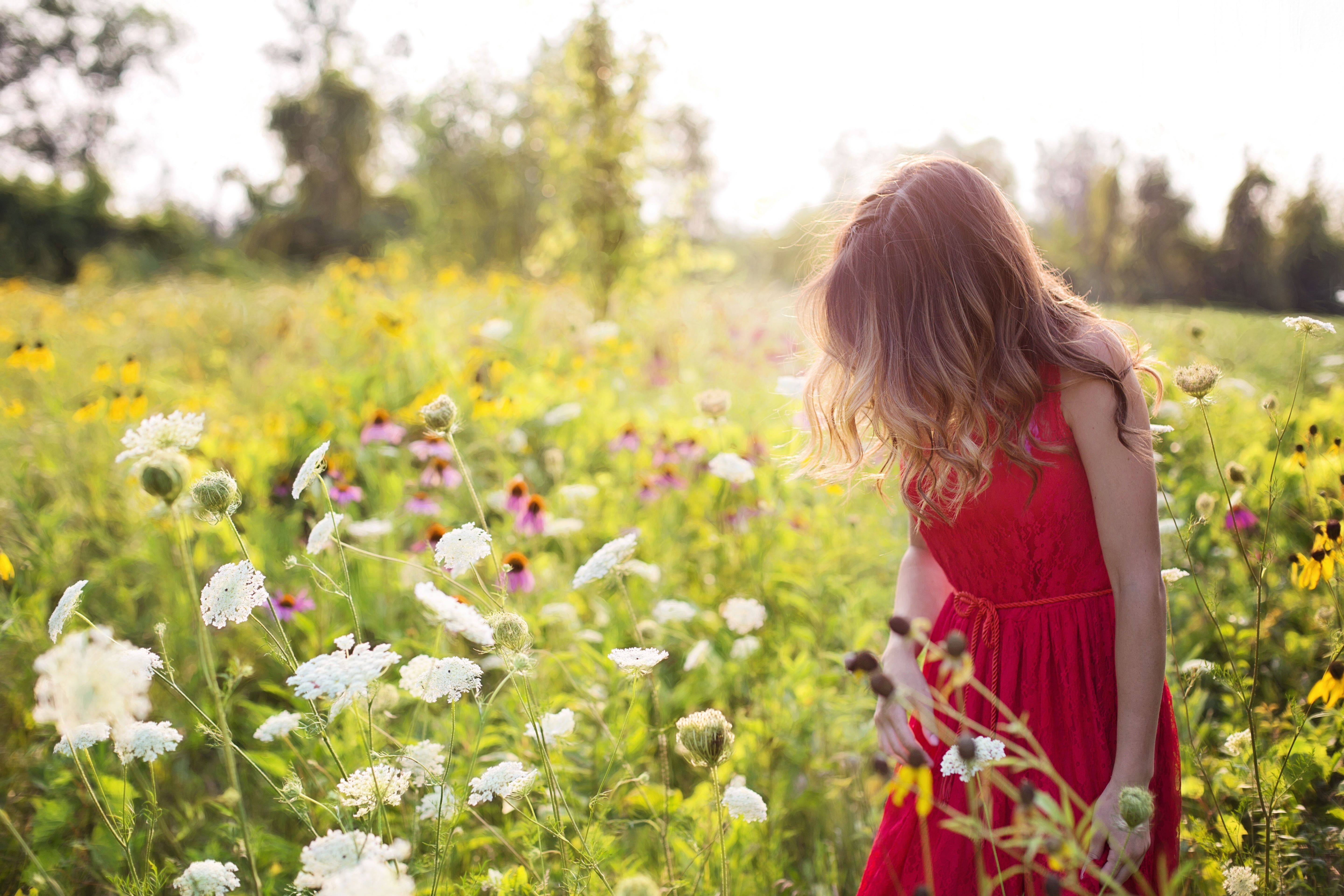 Macro shot photography of girl in flower field during daytime HD ...