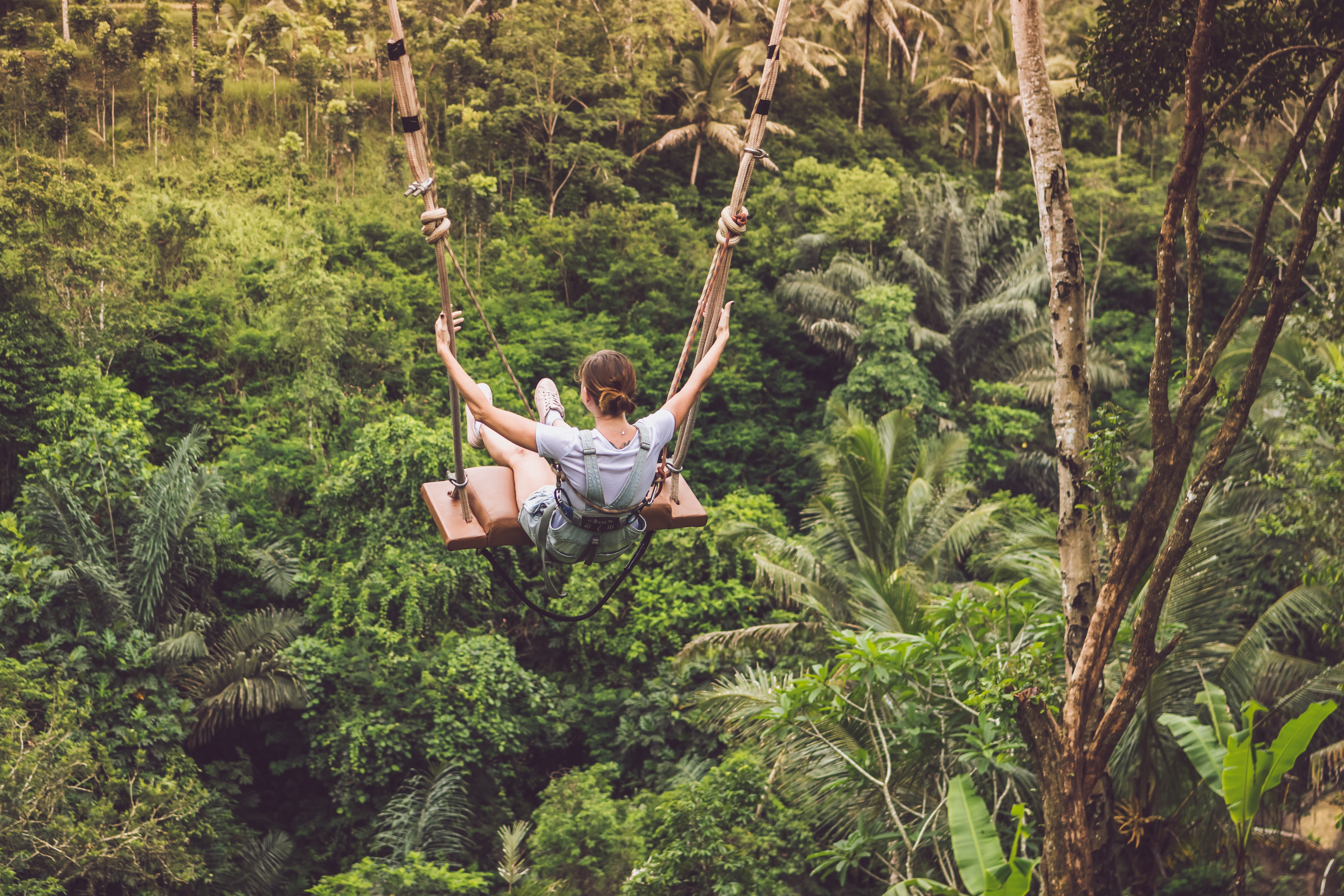 Woman Riding Hanging Swing in Forest, Rainforest, Young, Woman, View, HQ Photo