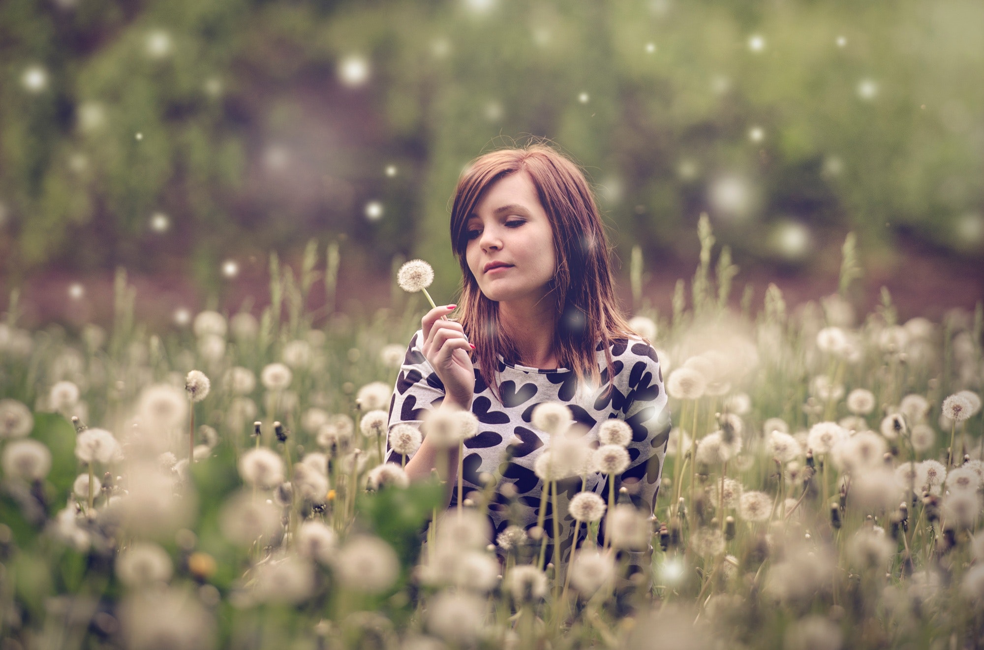 Woman sitting in a field of flowers photo