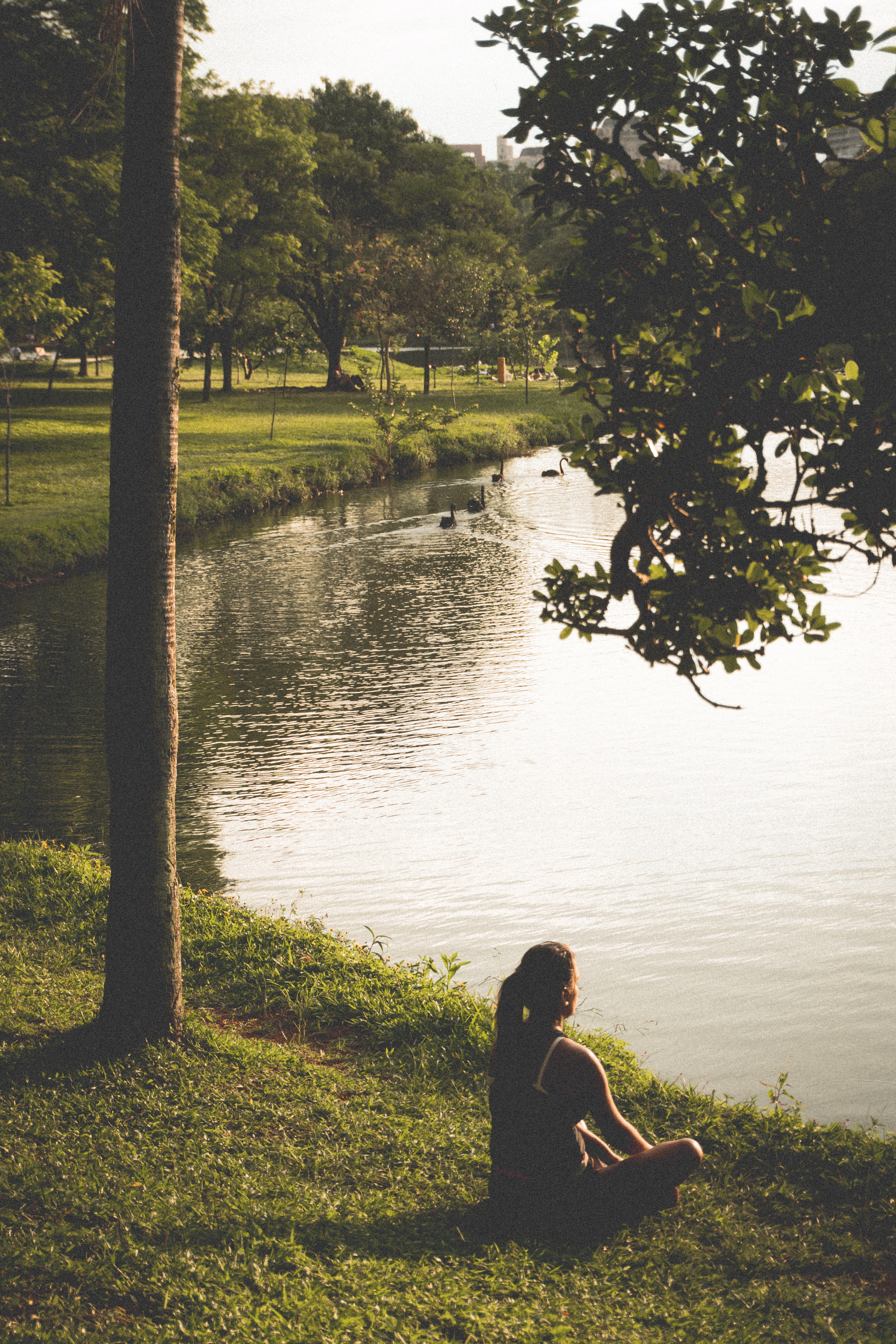 Woman sitting on grass by lake photo