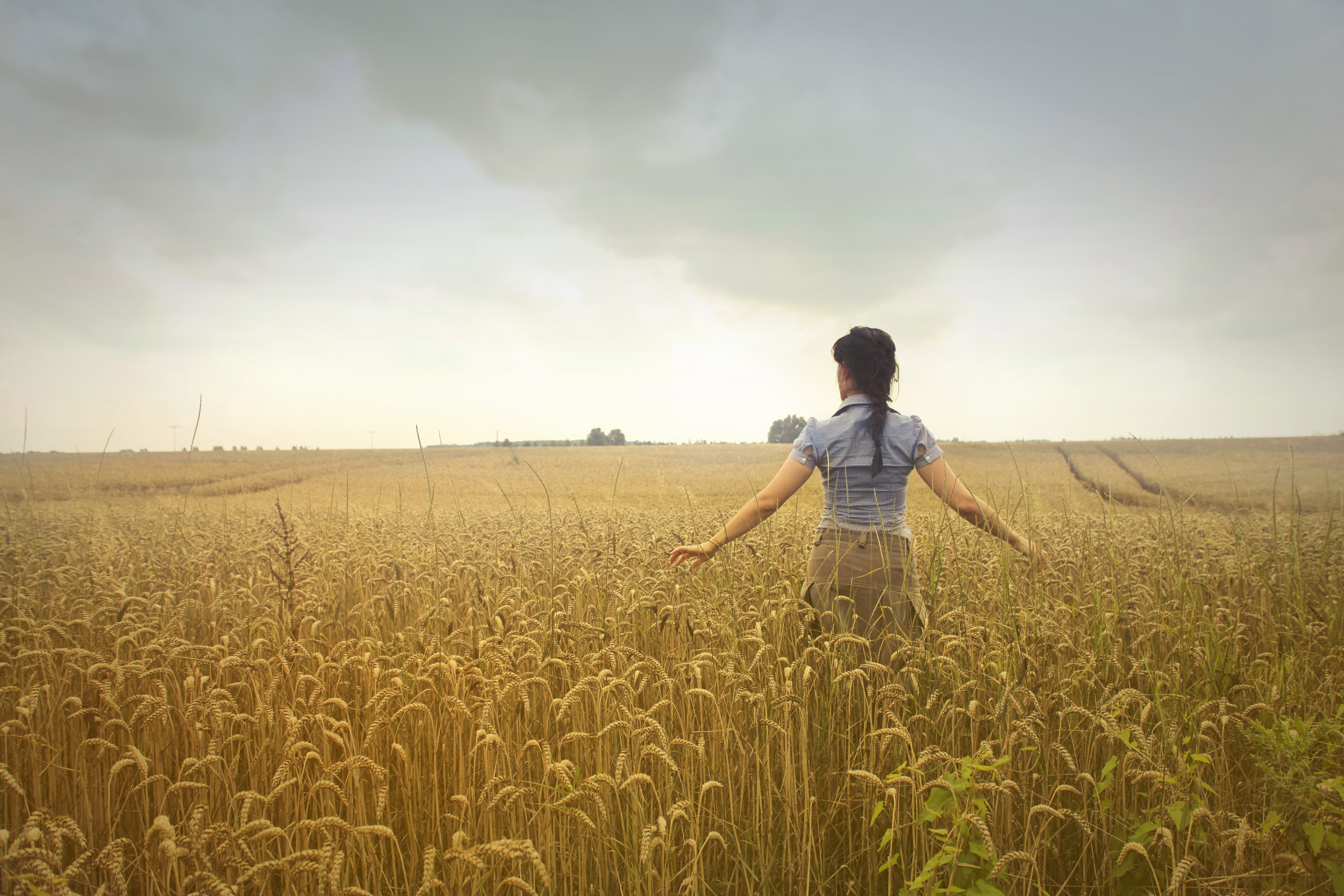 Woman Standing on Rice Field during Cloudy Day, Agriculture, Girl, Trees, Straw, HQ Photo