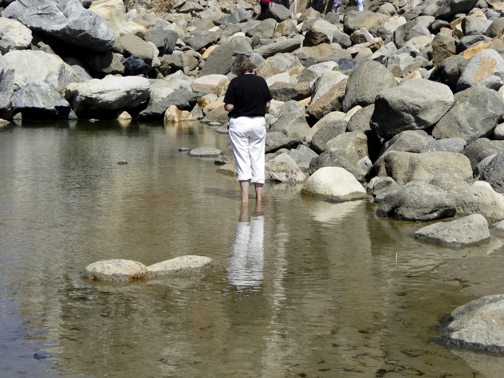 Woman Standing In Shallow Water Free Stock Photo - Public Domain ...