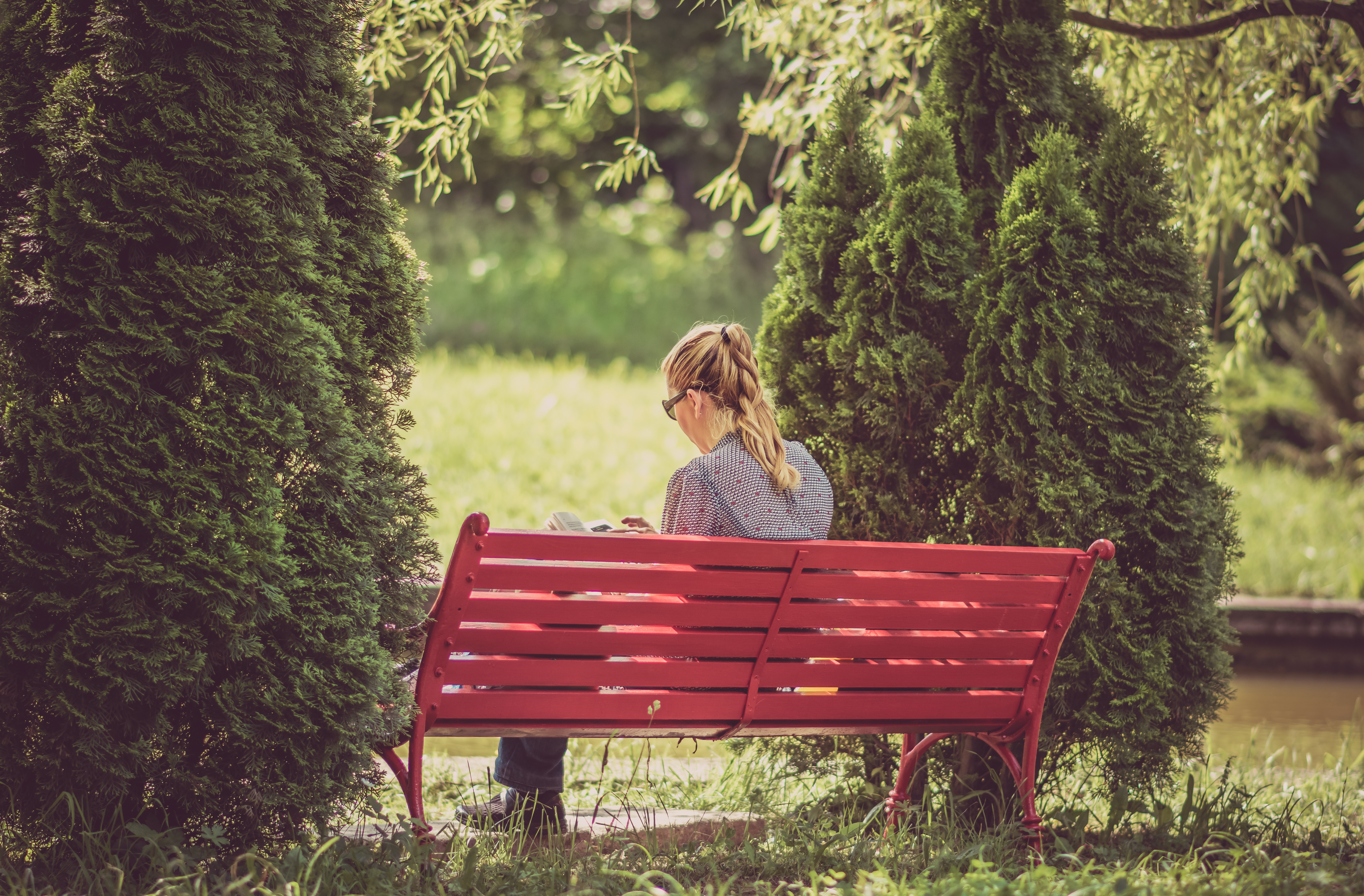 Woman Reading Red Park Bench Free Stock Photo - NegativeSpace